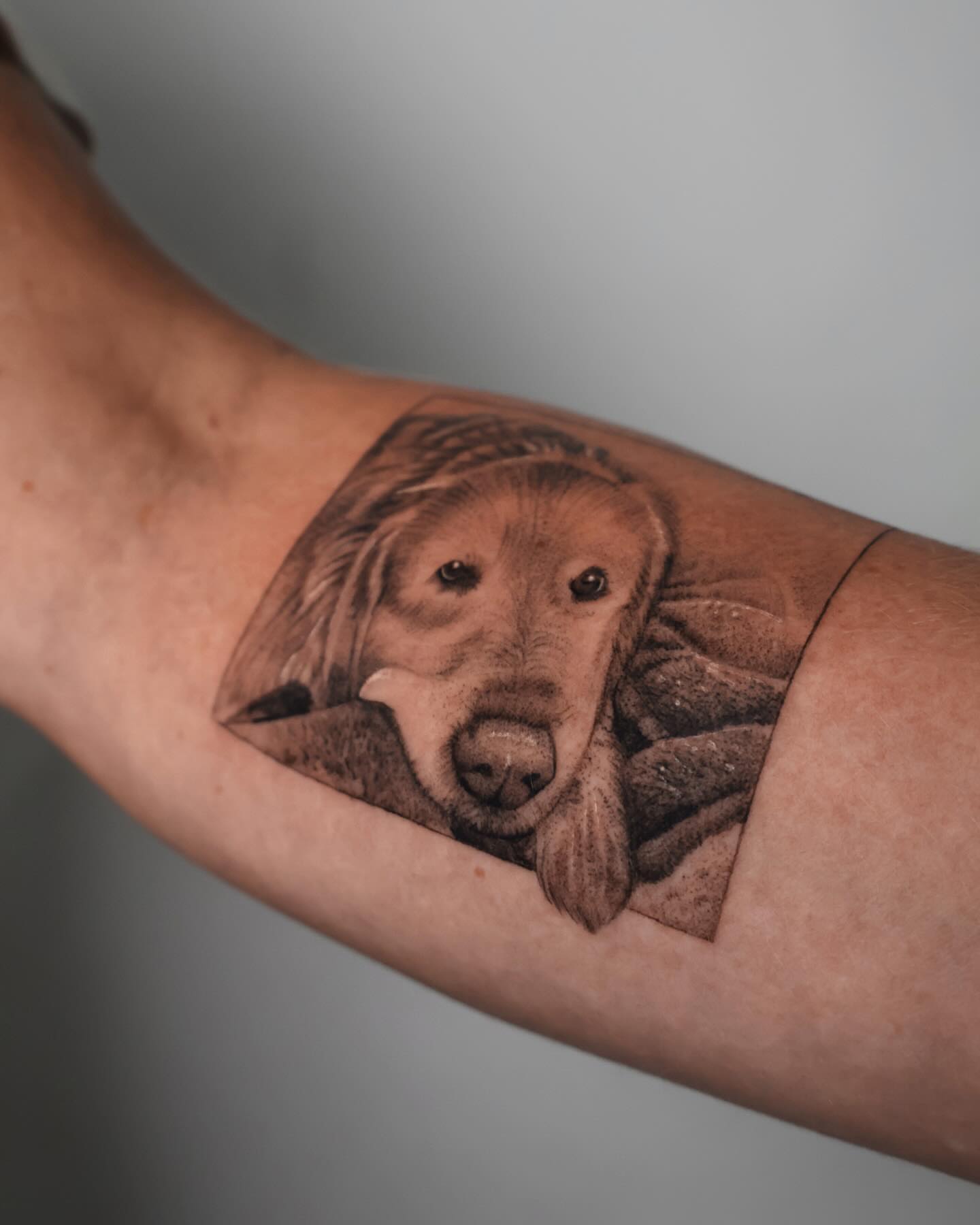 Dog realism tattoo on the forearm by Stephanie Pedraza