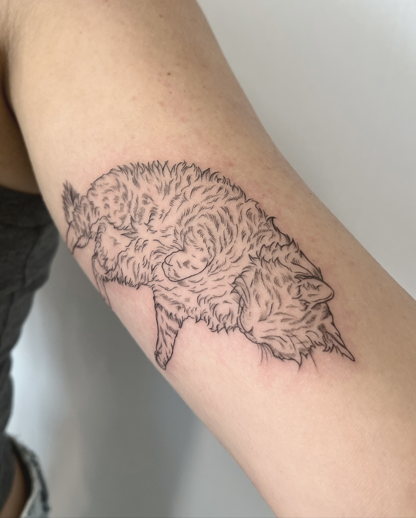 Sheep black and grey tattoo on the forearm by Seraphim