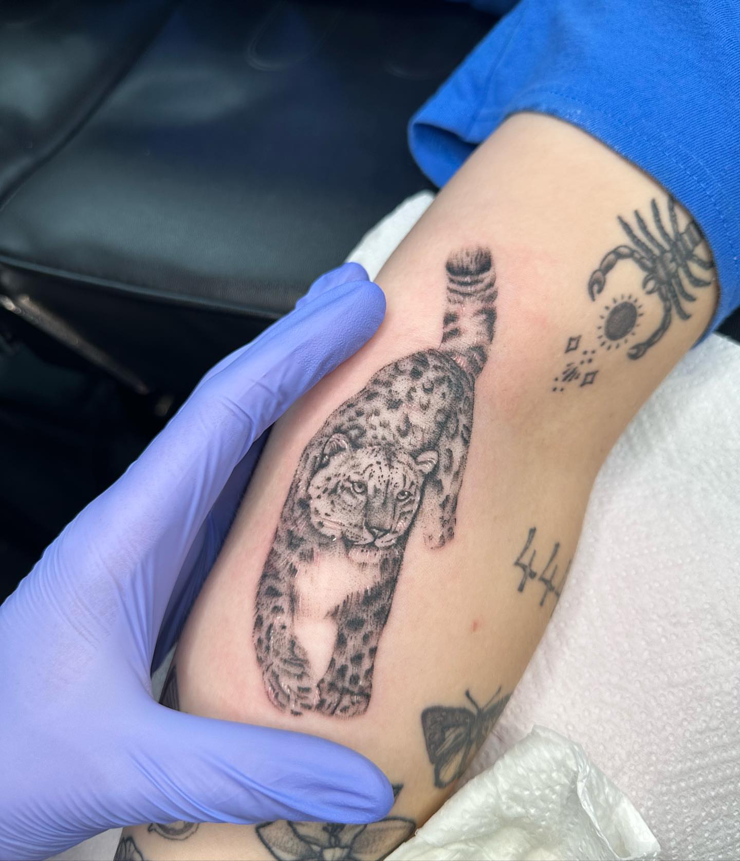 Snow leopard black and grey tattoo on the forearm by ⭒ ʜᴀɪʟᴇʏ ᴍᴇᴛᴢ ⭒
