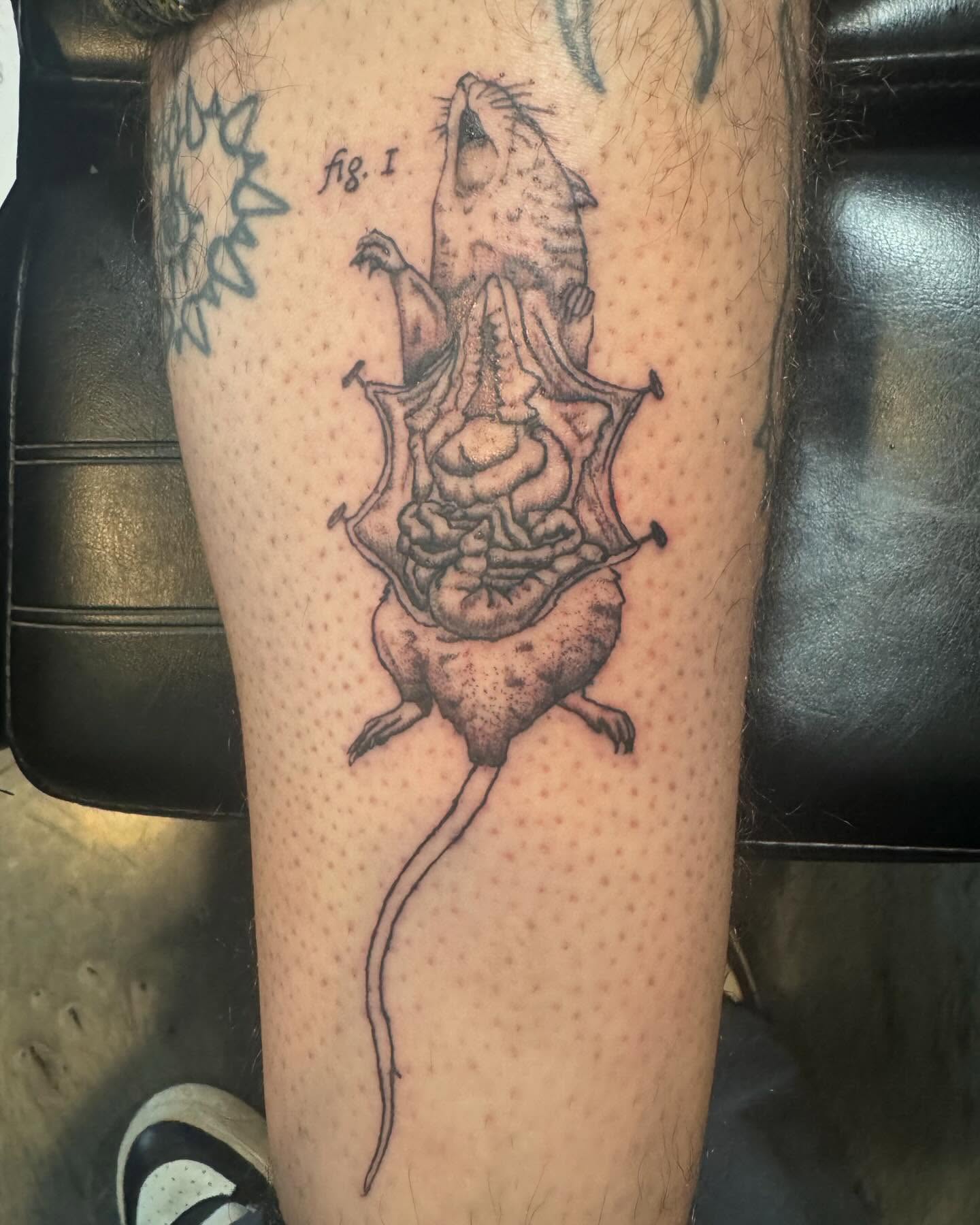 Tattoo by @loui_lays_ink — dotwork, realism