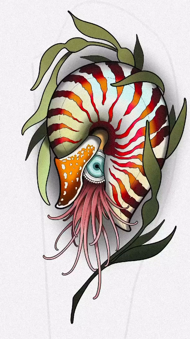 Nautilus shell with tentacles neo-traditional tattoo by Luis Torres, Harrison, New Jersey