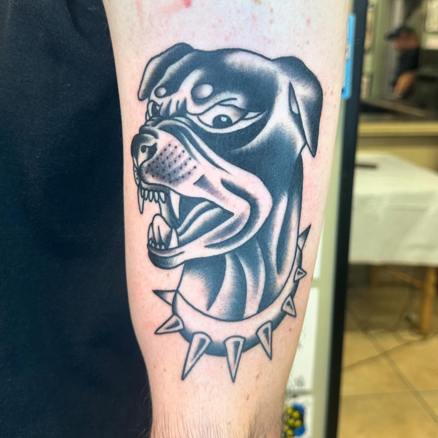 Bulldog head American traditional tattoo on the forearm by Keon Ostby, Tempe, Arizona