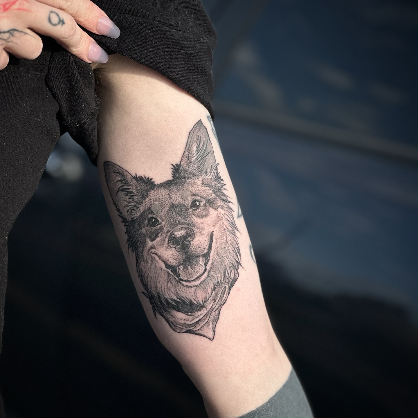 Tattoo by @carnivorousfx — dotwork