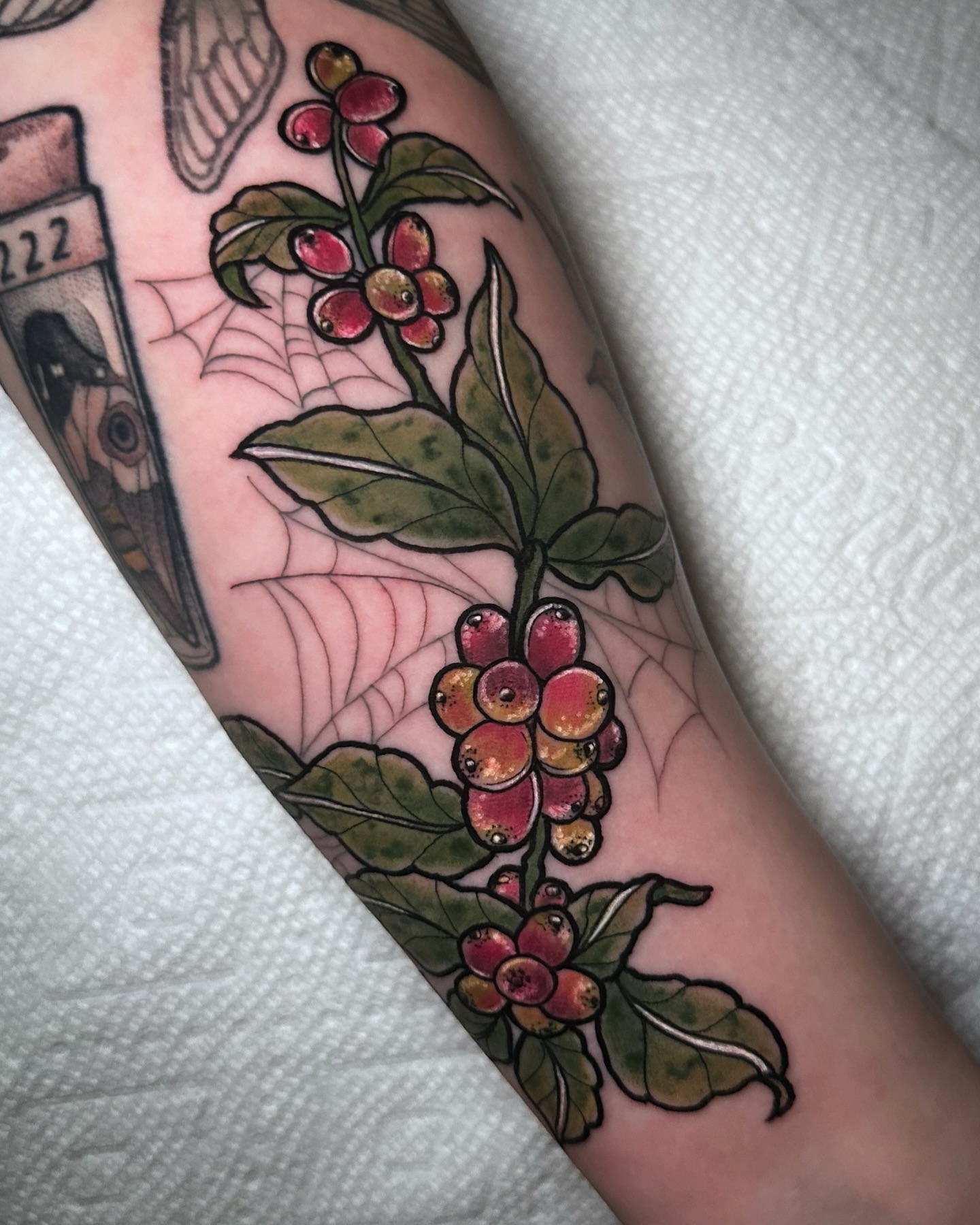 Coffee plant American traditional tattoo on the forearm by Naysla Droguett