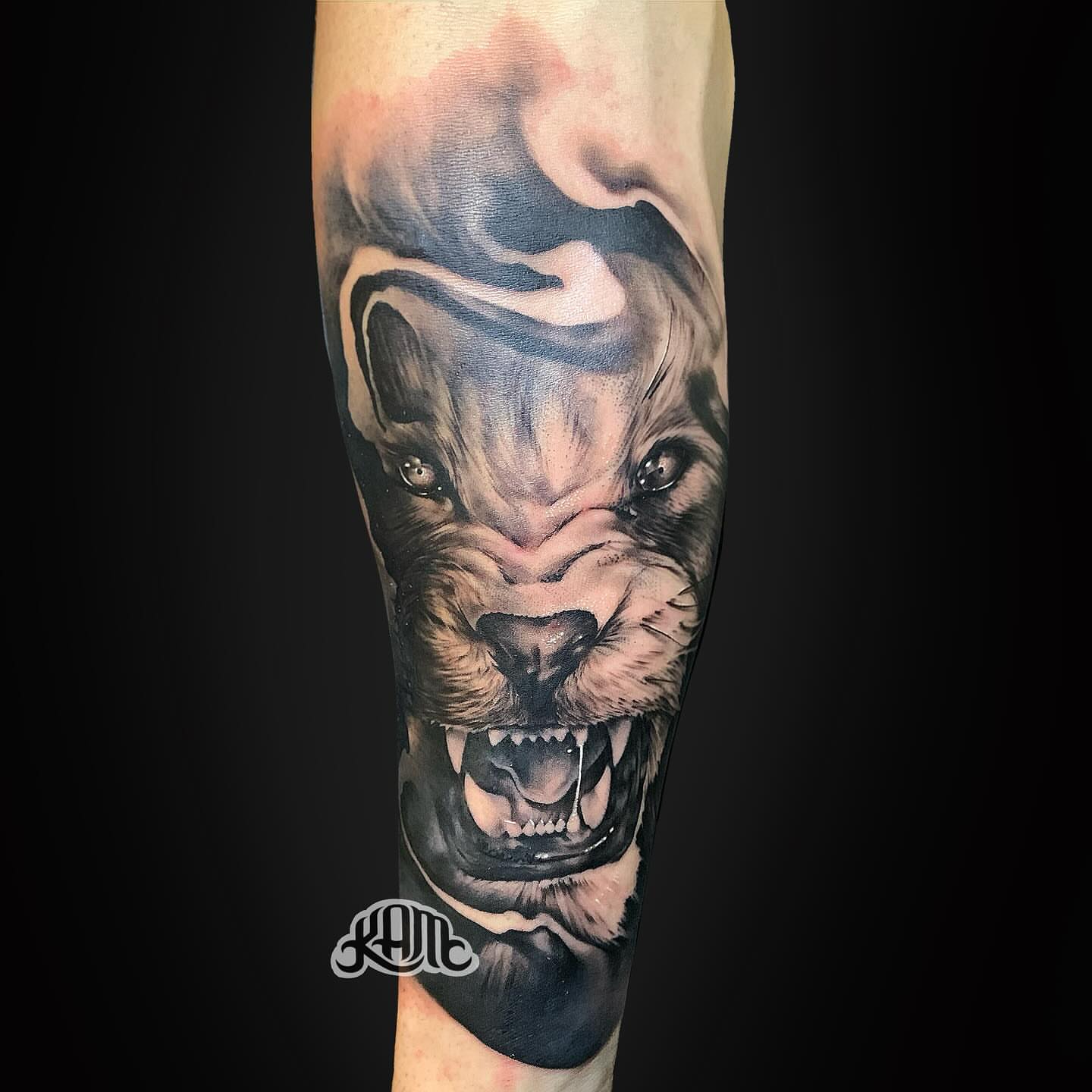 Roaring lion realism tattoo on the forearm by Keith (KAM) Miller