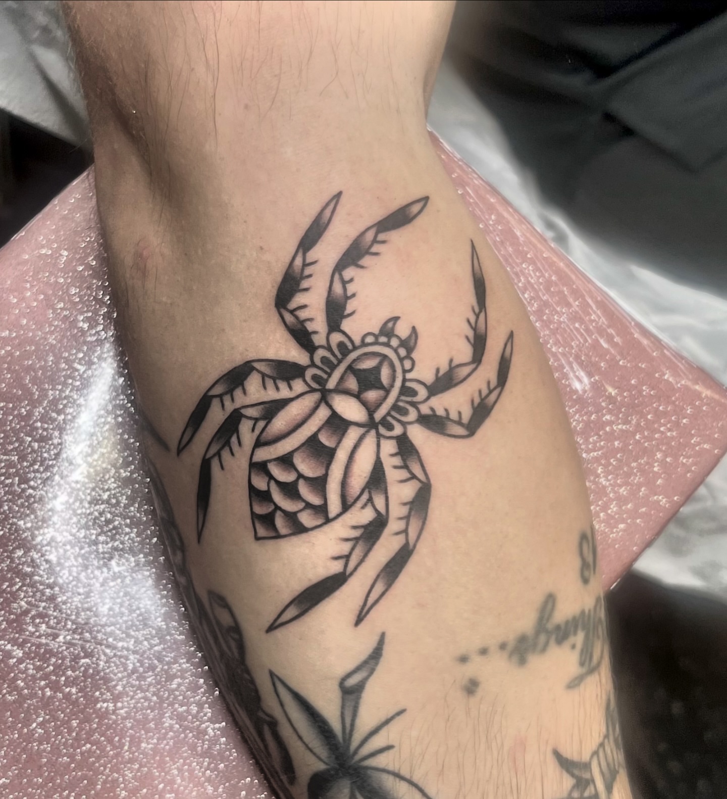 Turtle American traditional tattoo on the forearm by Erika Donn, Portland, Oregon