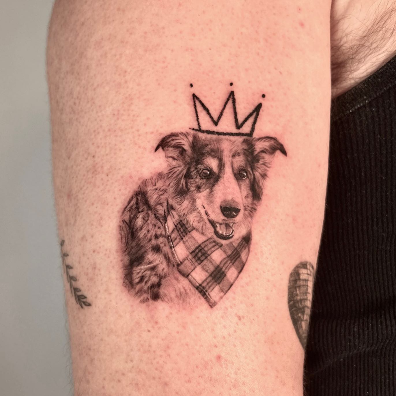 Dog wearing crown realism tattoo on the forearm by Longtea