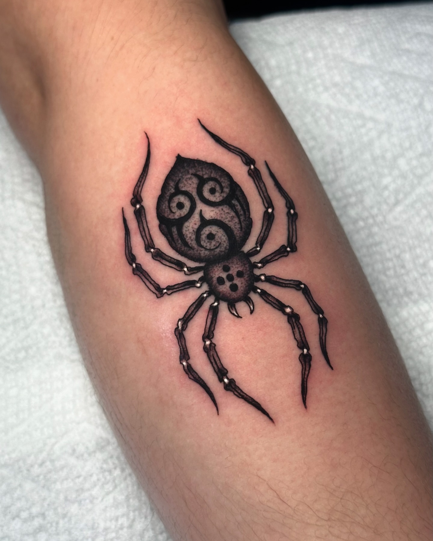 Spider dotwork tattoo on the forearm by Matthew, Georgetown, Texas