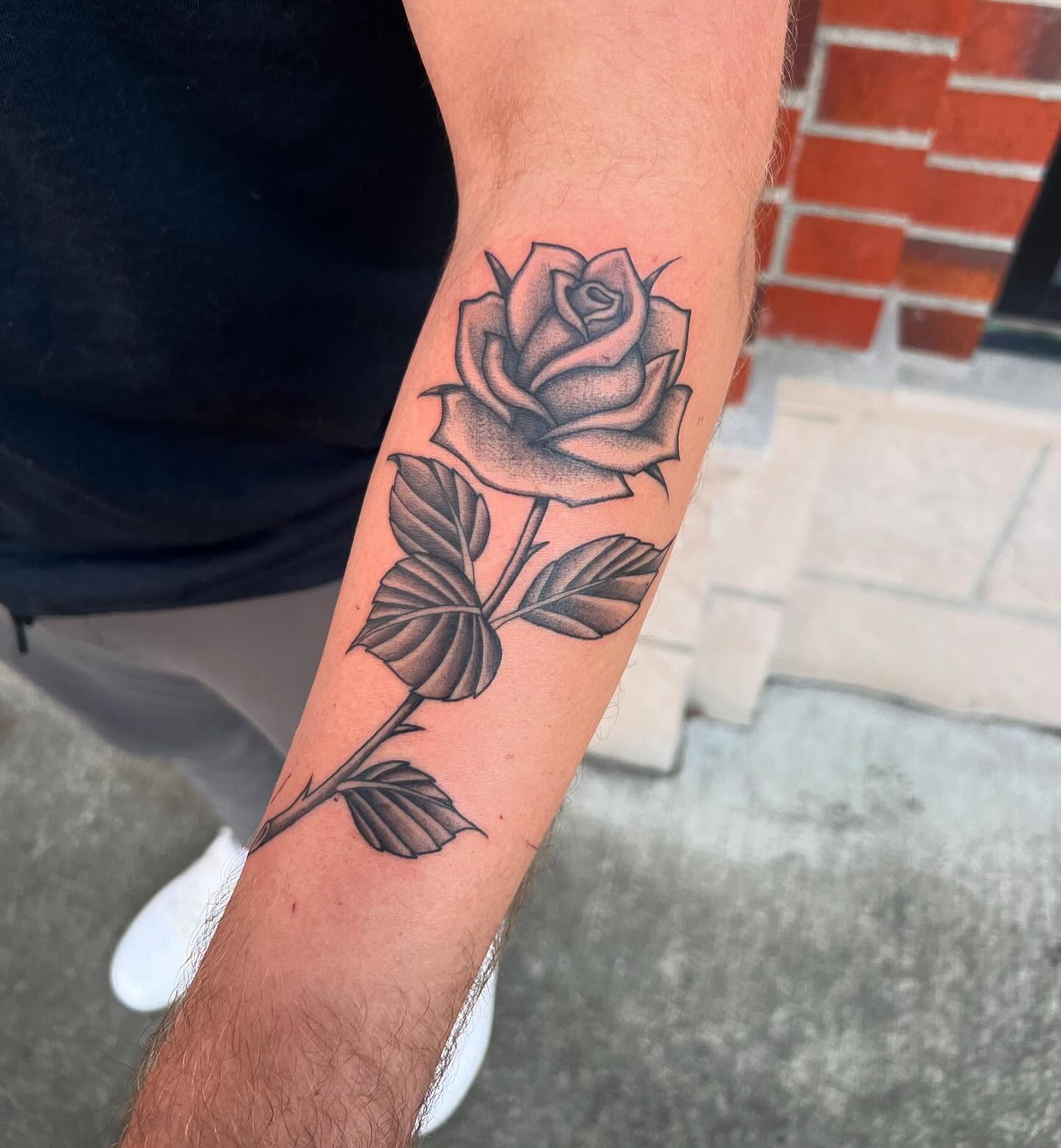 Rose black and grey tattoo on the forearm by Tasha Venola, Bellingham, Washington