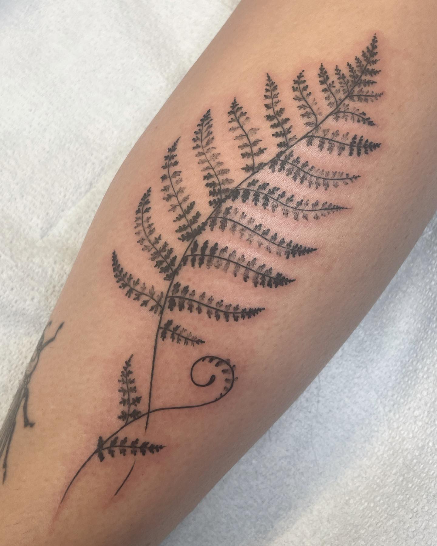 Fern black and grey tattoo on the forearm by Tattoos by Tessa
