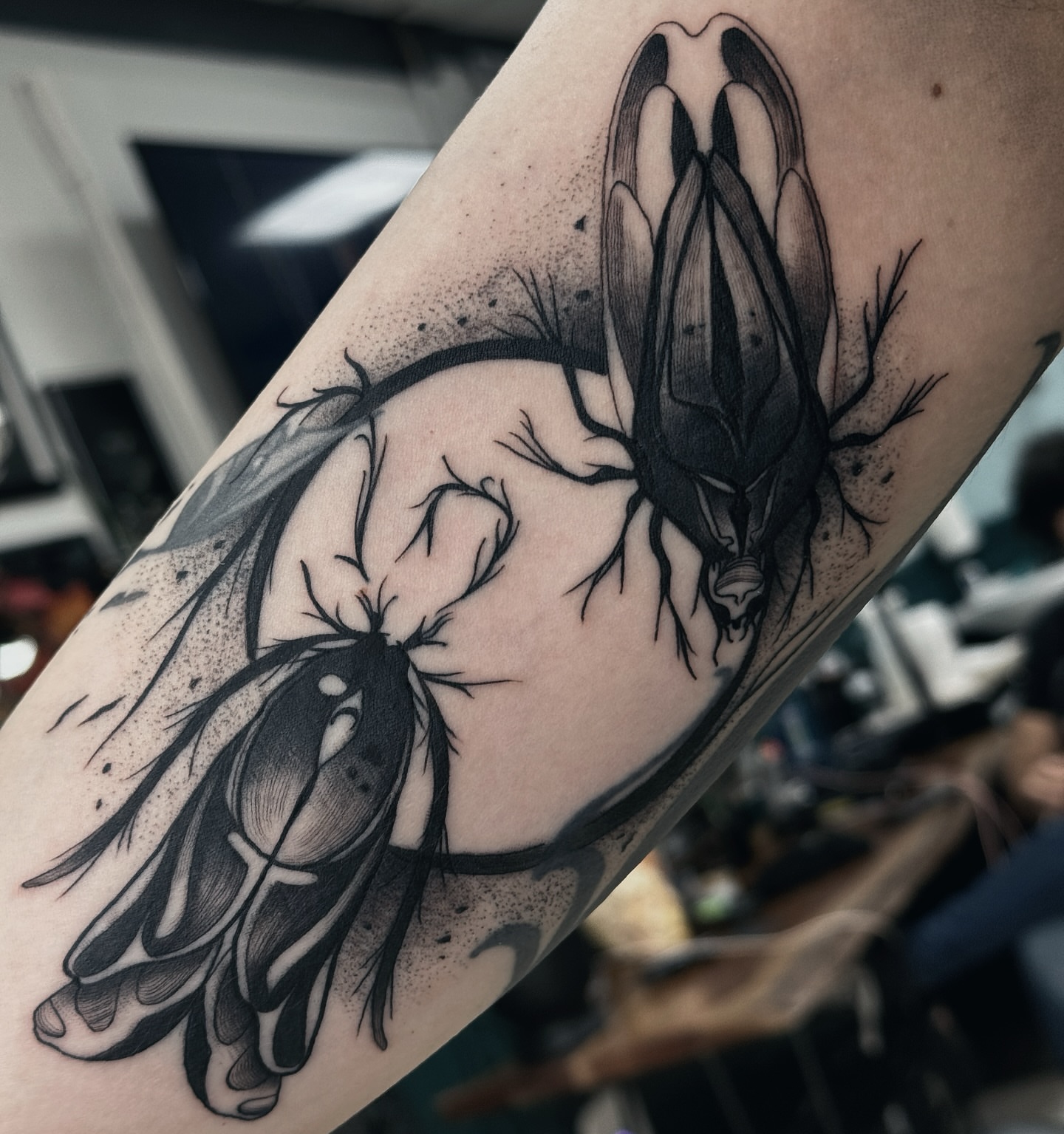 Insects dotwork tattoo on the forearm by 🌙Jose Maldonado🌙