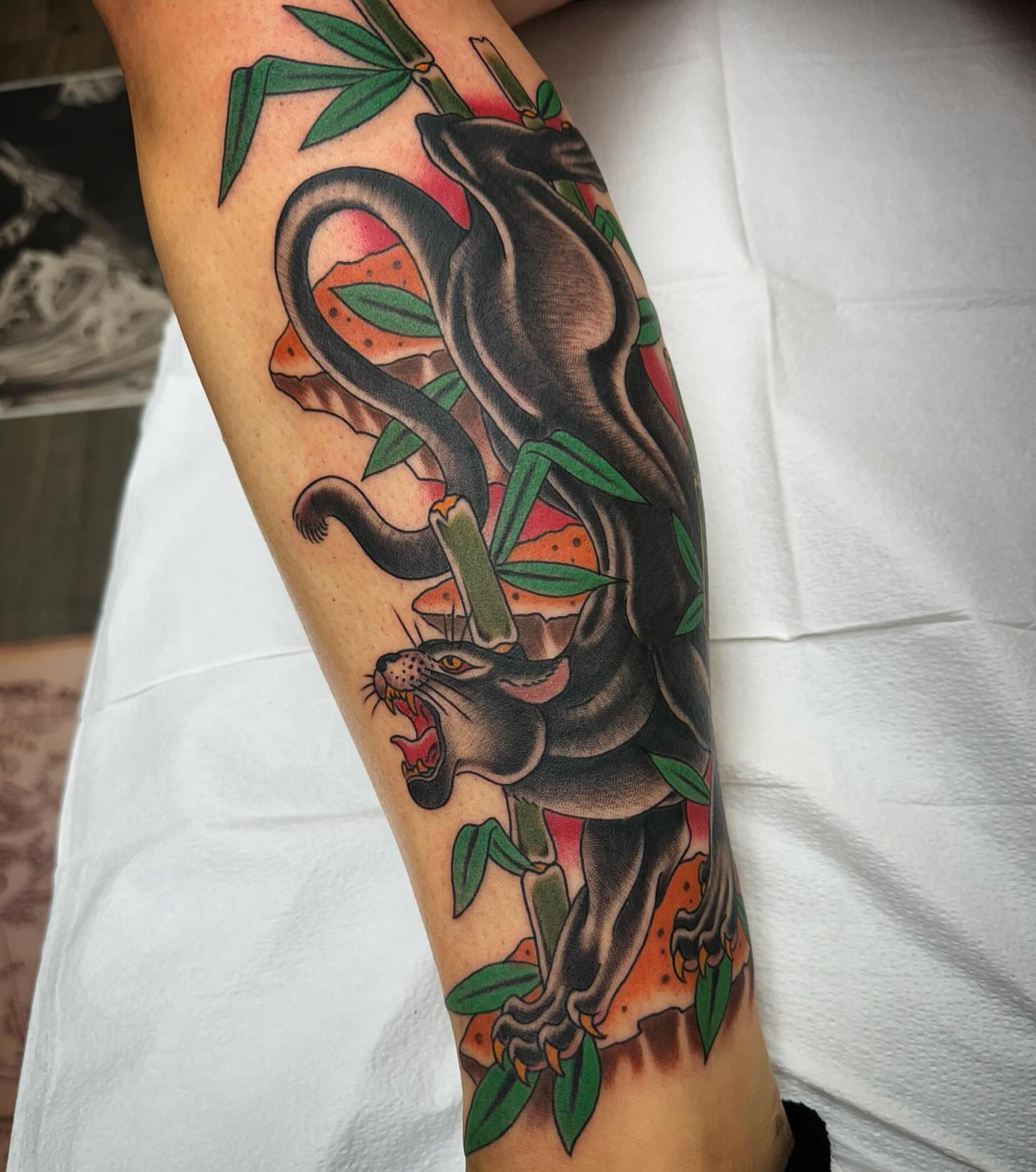 Panther and bamboo American traditional tattoo on the forearm by Ethan Bennett