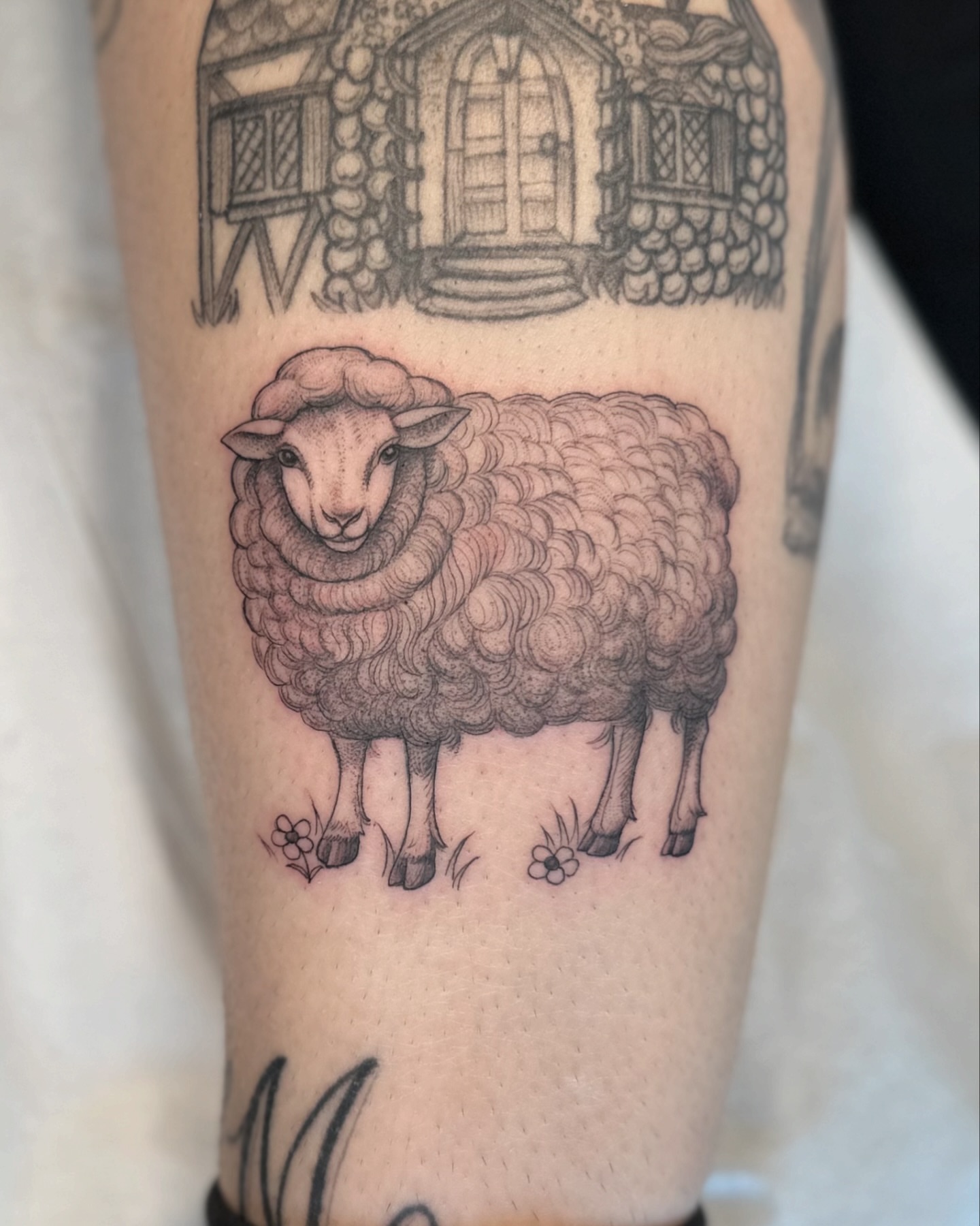 Sheep black and grey tattoo on the forearm by ๐ฐ๐๐ข๐๐๐ ๐๐ฃ๐๐๐๐ข๐ชฟ