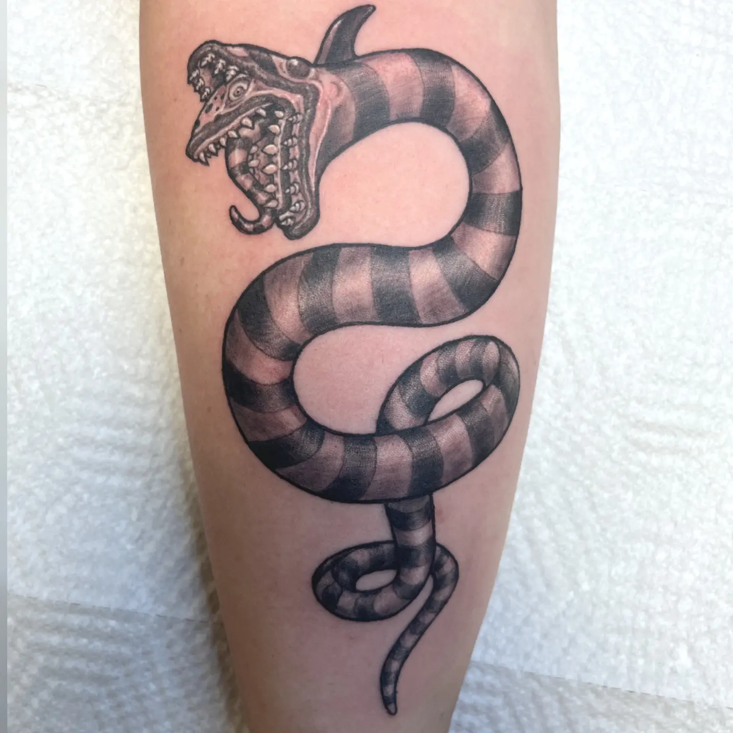 Striped snake black and grey tattoo on the forearm by Nason Dilts