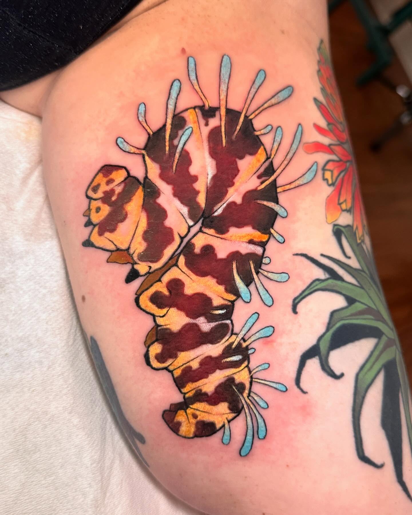 Tattoo by @grizzleyclaire — new_school