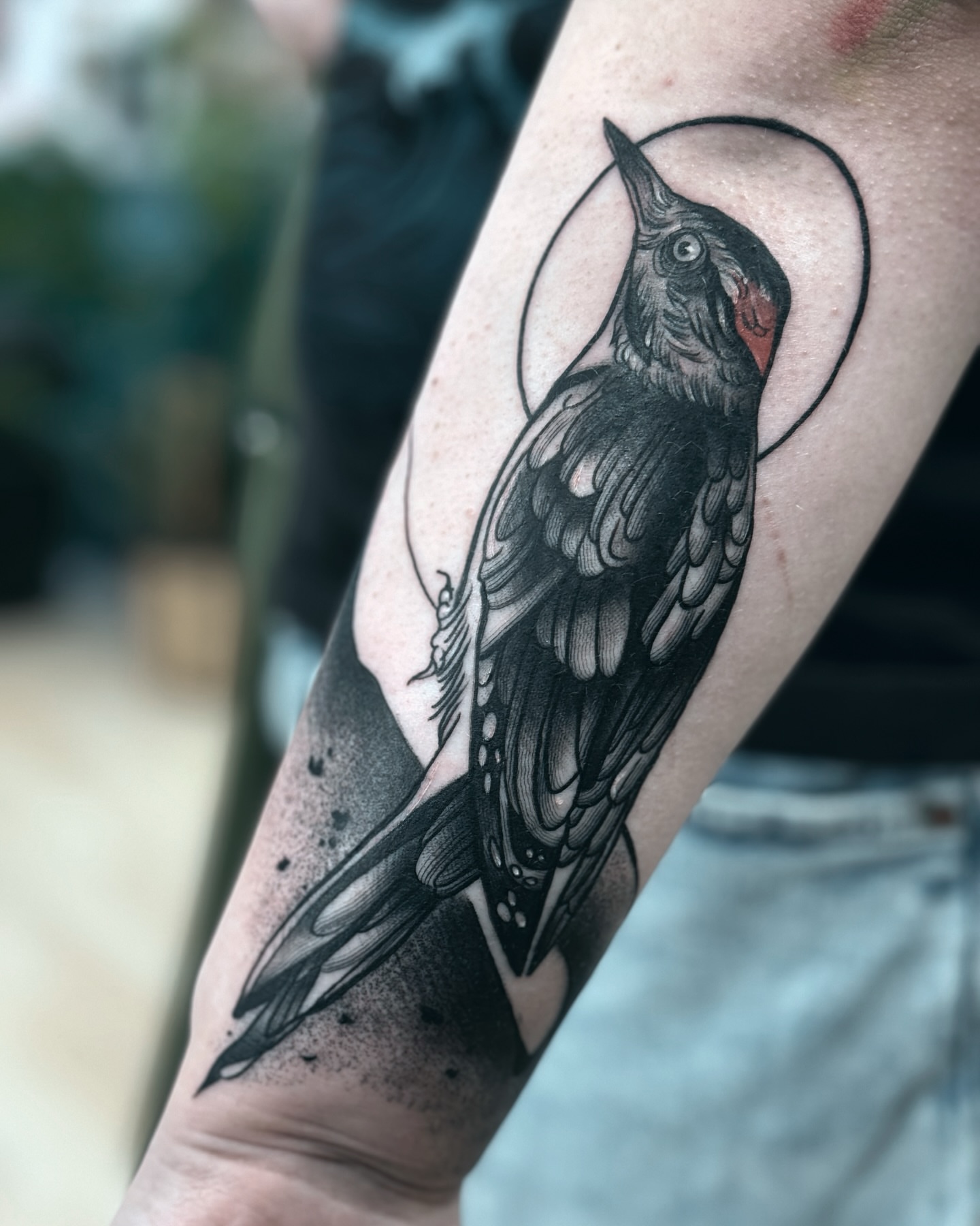 Woodpecker black and grey tattoo on the forearm by 🌙Jose Maldonado🌙