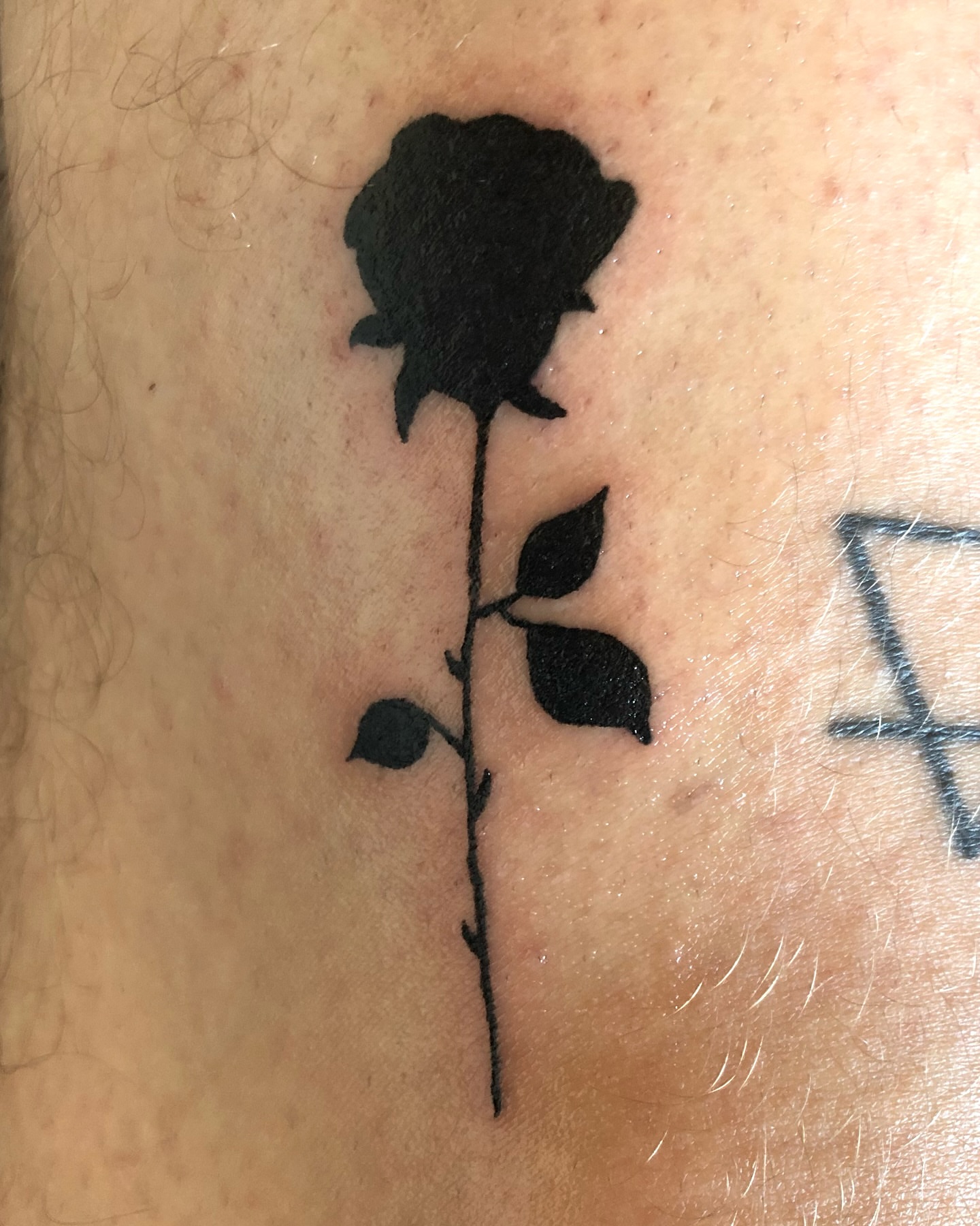 Rose black and grey tattoo on the forearm by Tattoo Artist ⚔️ San Diego, CA