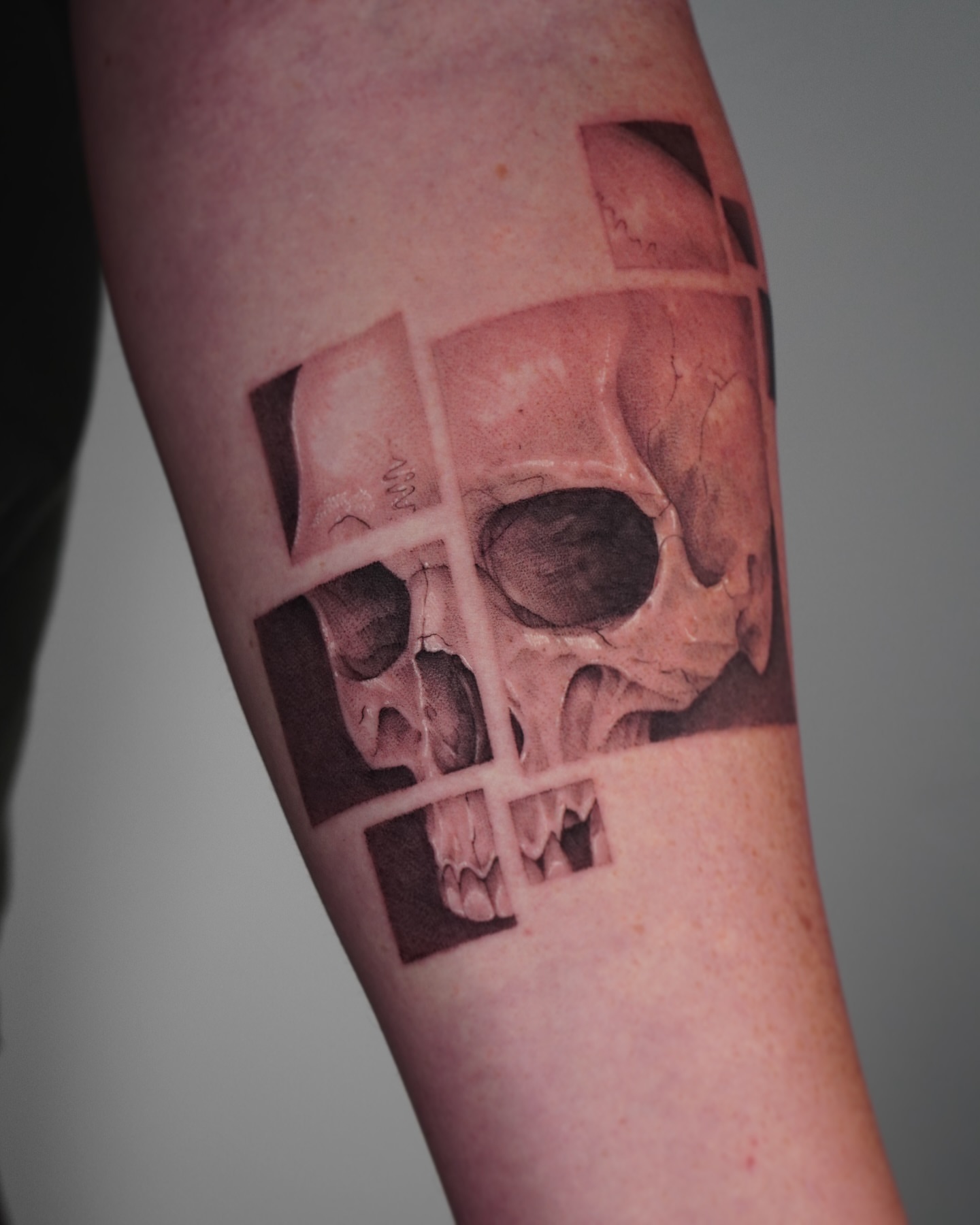 Skull realism tattoo on the forearm by Stephanie Shortsleeve