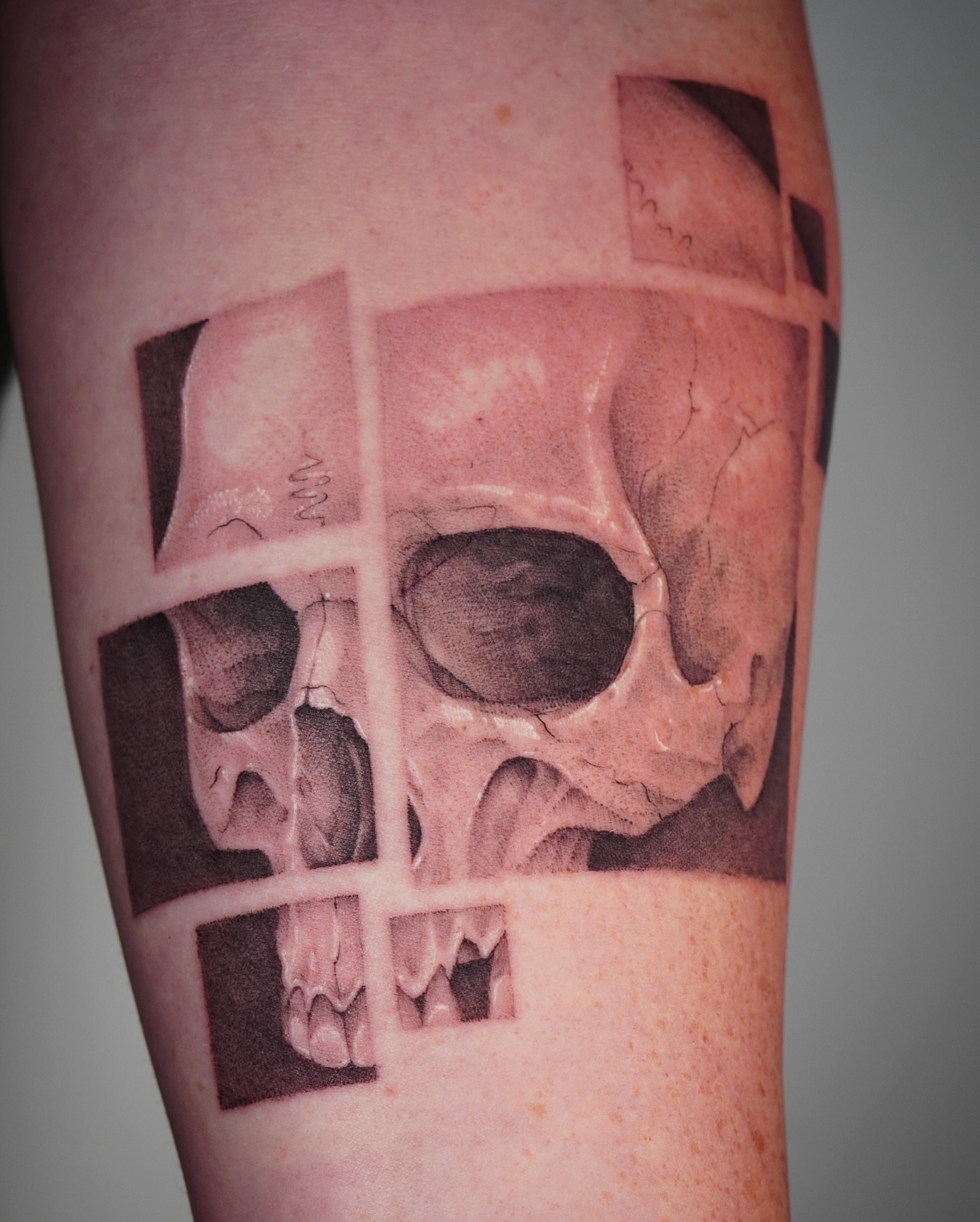 Skull realism tattoo on the forearm by Stephanie Shortsleeve