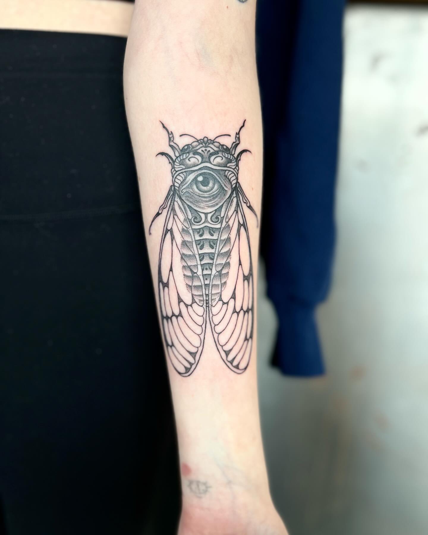 Cicada realism tattoo on the forearm by Siërra Nicole, Minneapolis, Minnesota