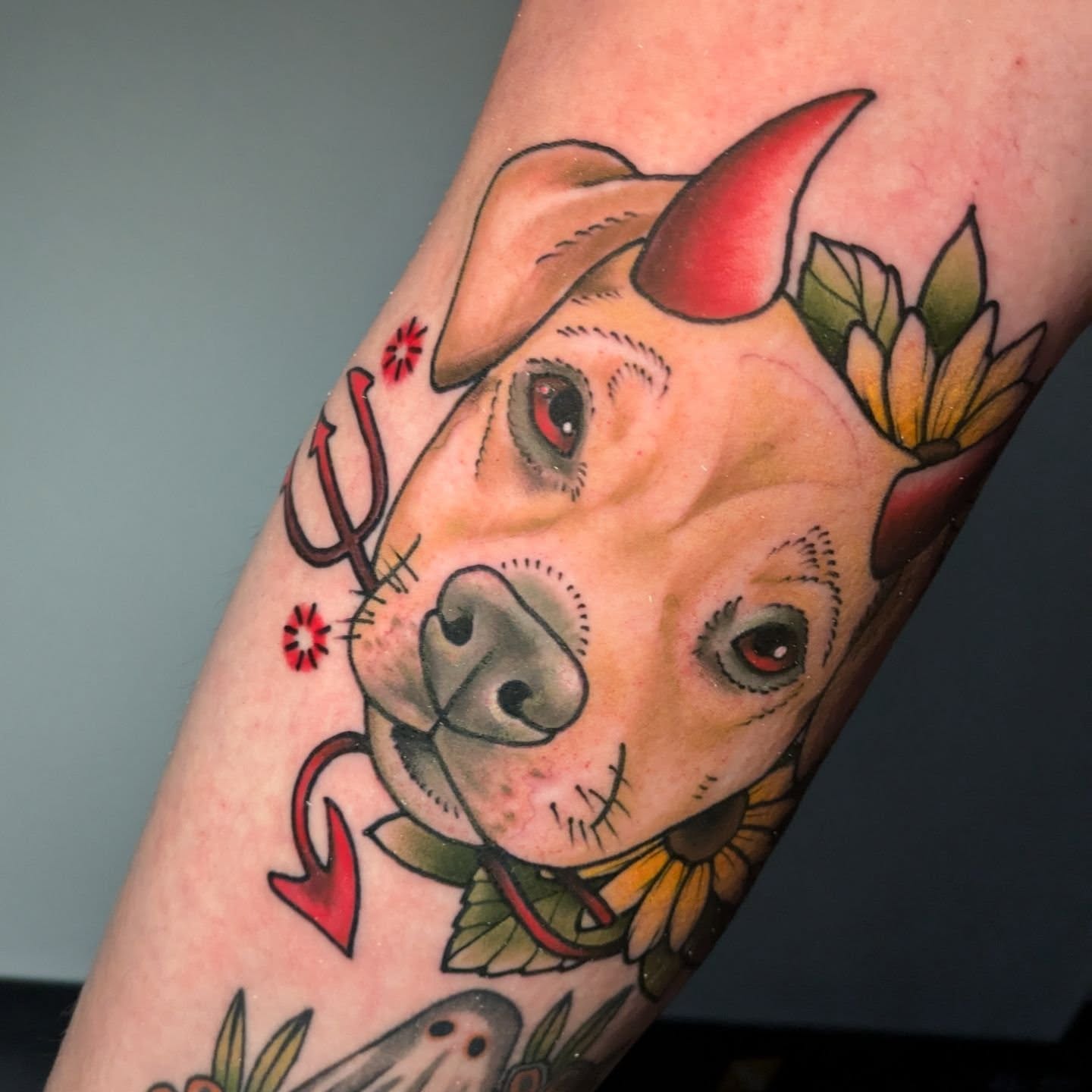 Dog with horns American traditional tattoo on the forearm by Ellie