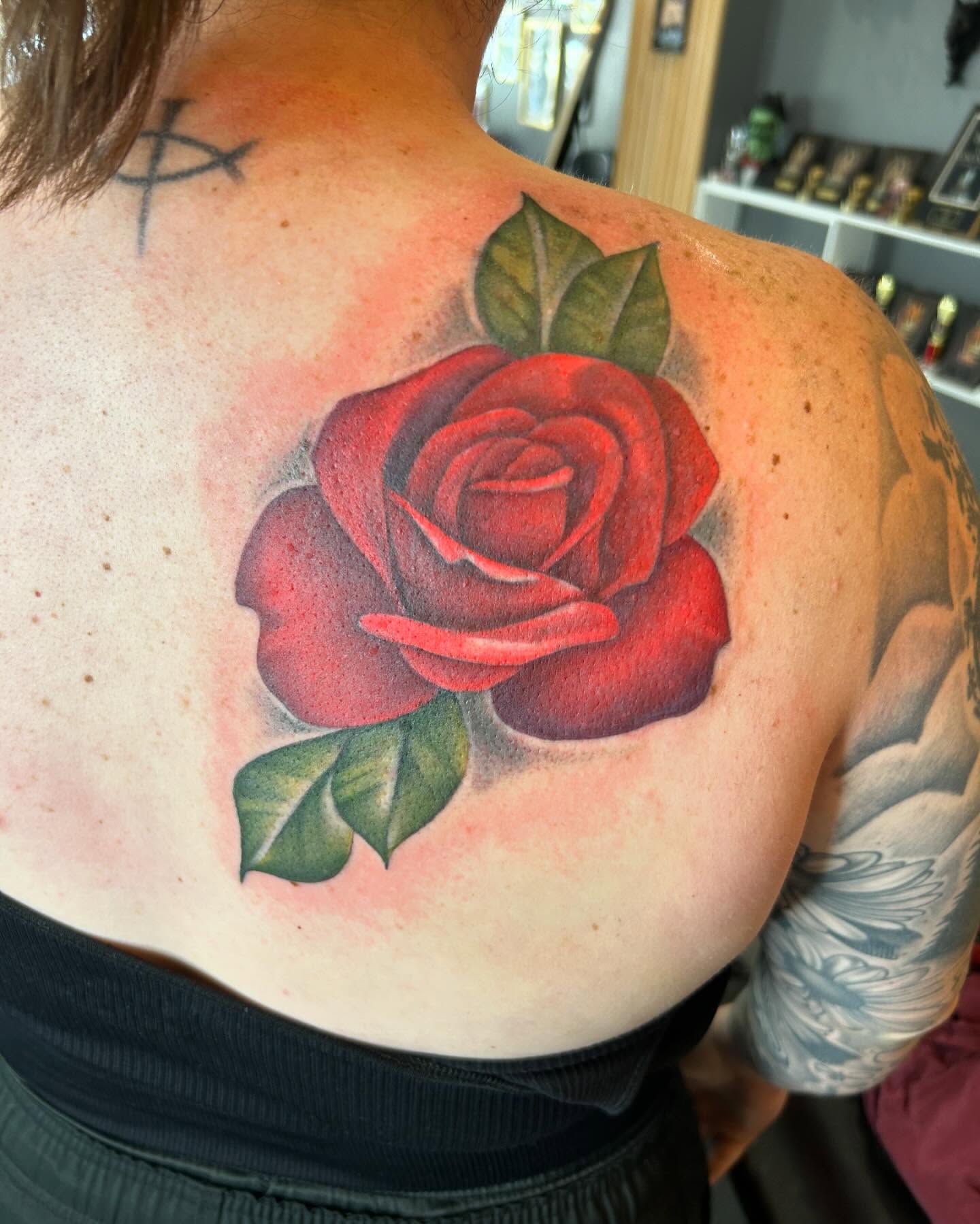 Red rose realism tattoo on the back by Taylor Steckman