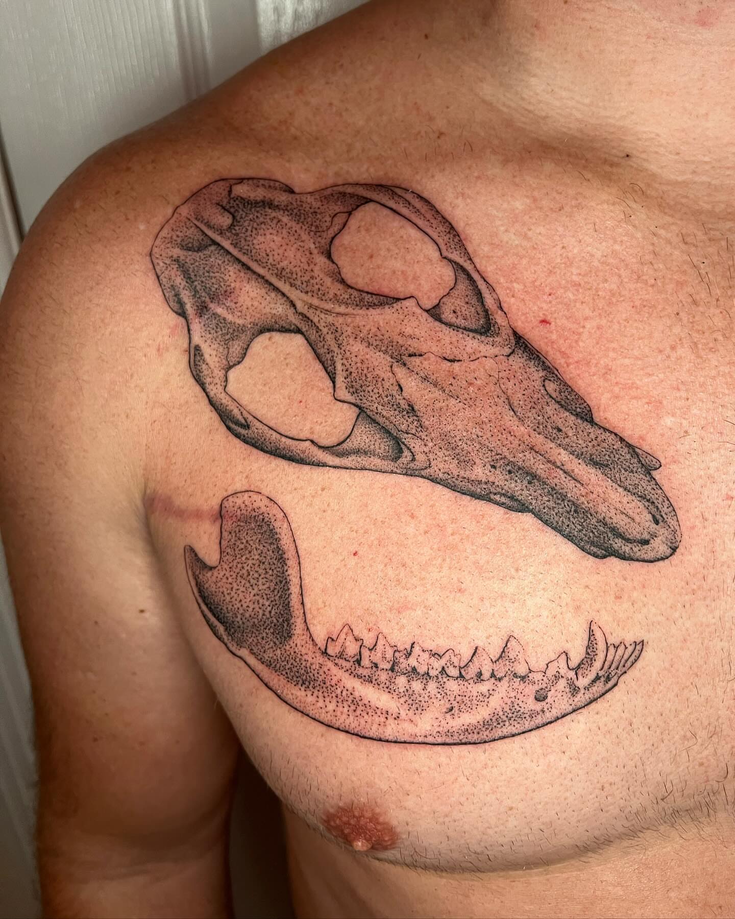 Skull dotwork tattoo on the chest by Natasha