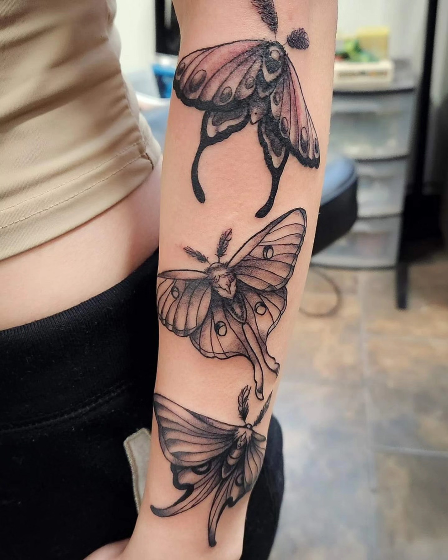 Moths black and grey tattoo on the forearm by Samantha Von Zombia, Saint Paul, Minnesota