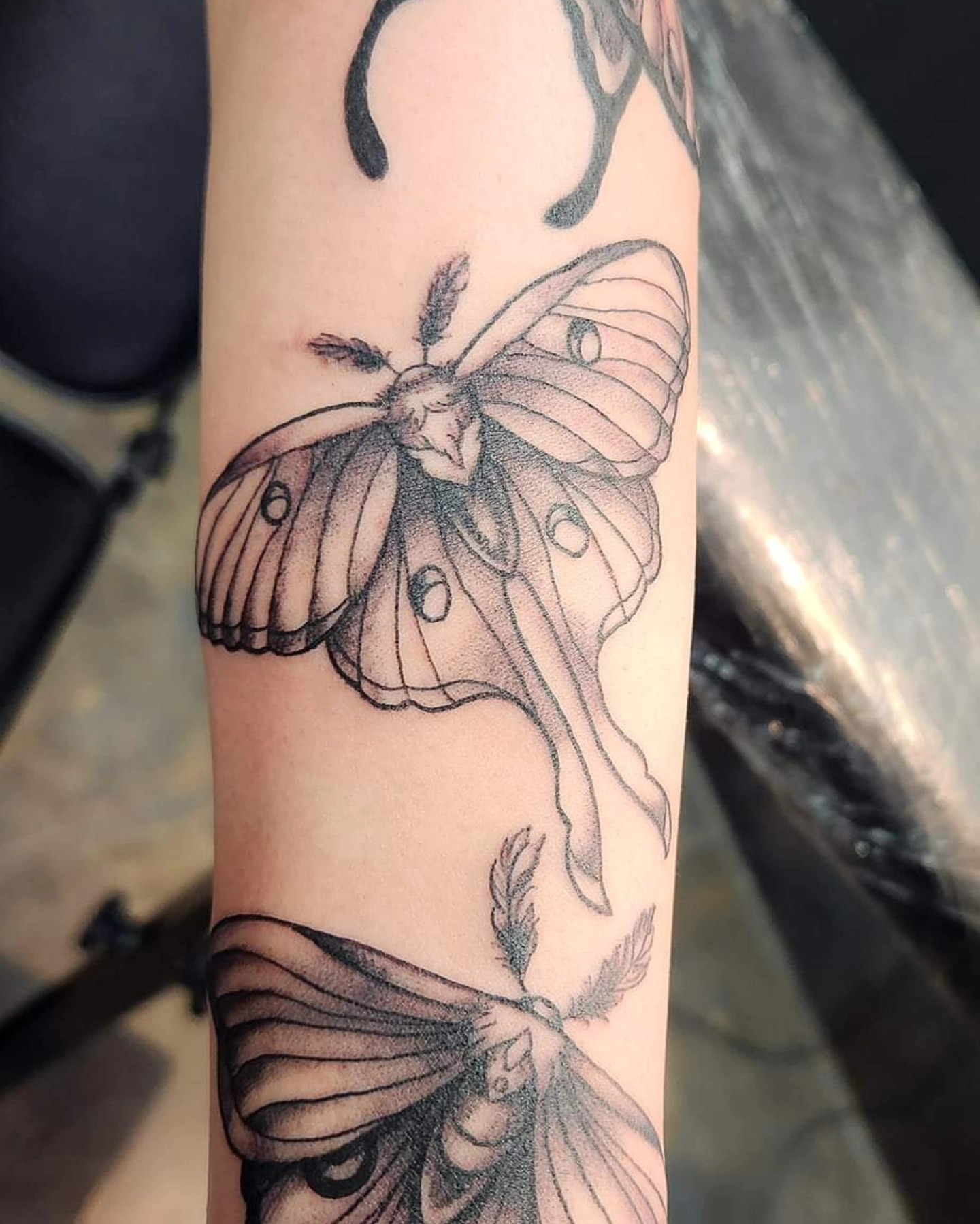 Butterfly black and grey tattoo on the forearm by Samantha Von Zombia, Saint Paul, Minnesota