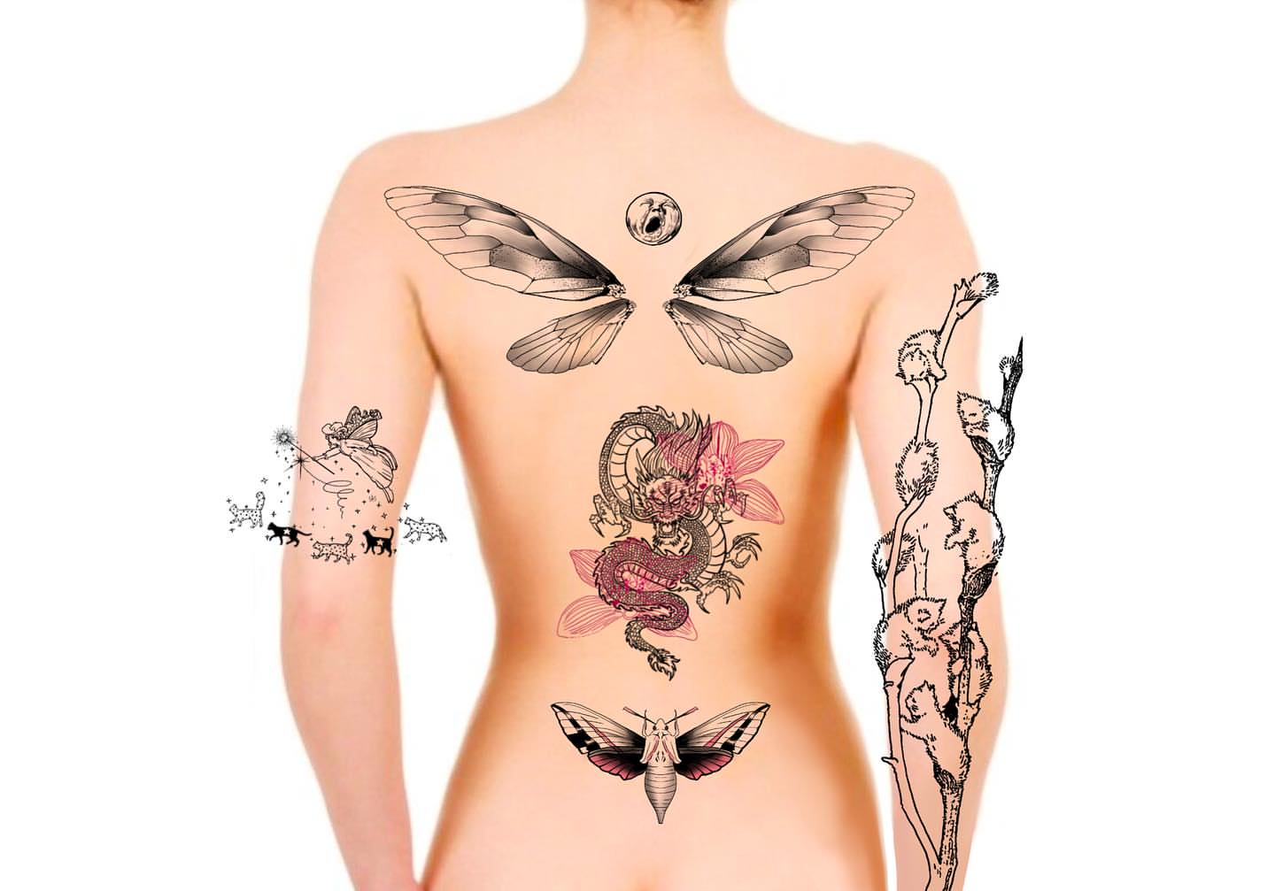 Tattoo by @cats_and_tattoos โ american_traditional, dotwork