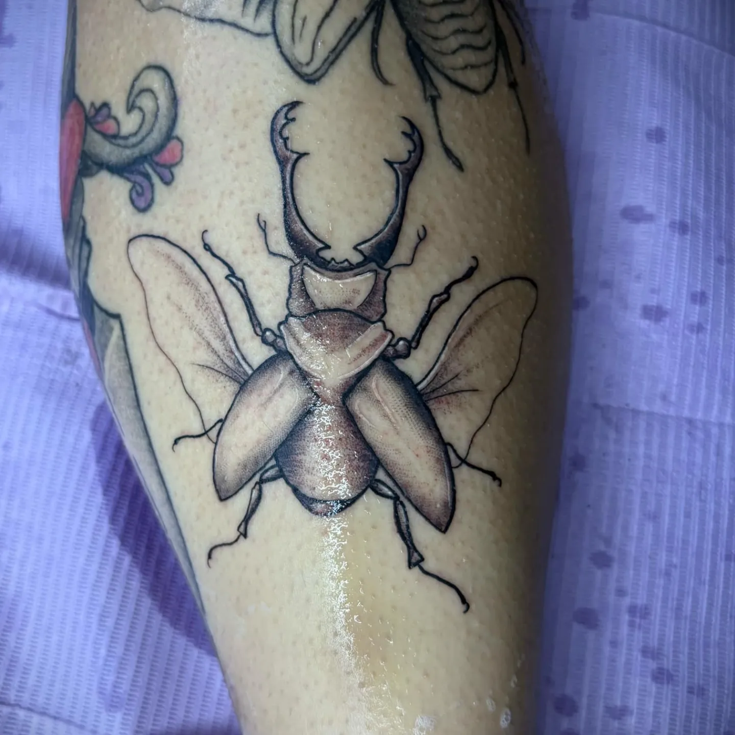 Tattoo by @aleysha.jane.tattoos — realism