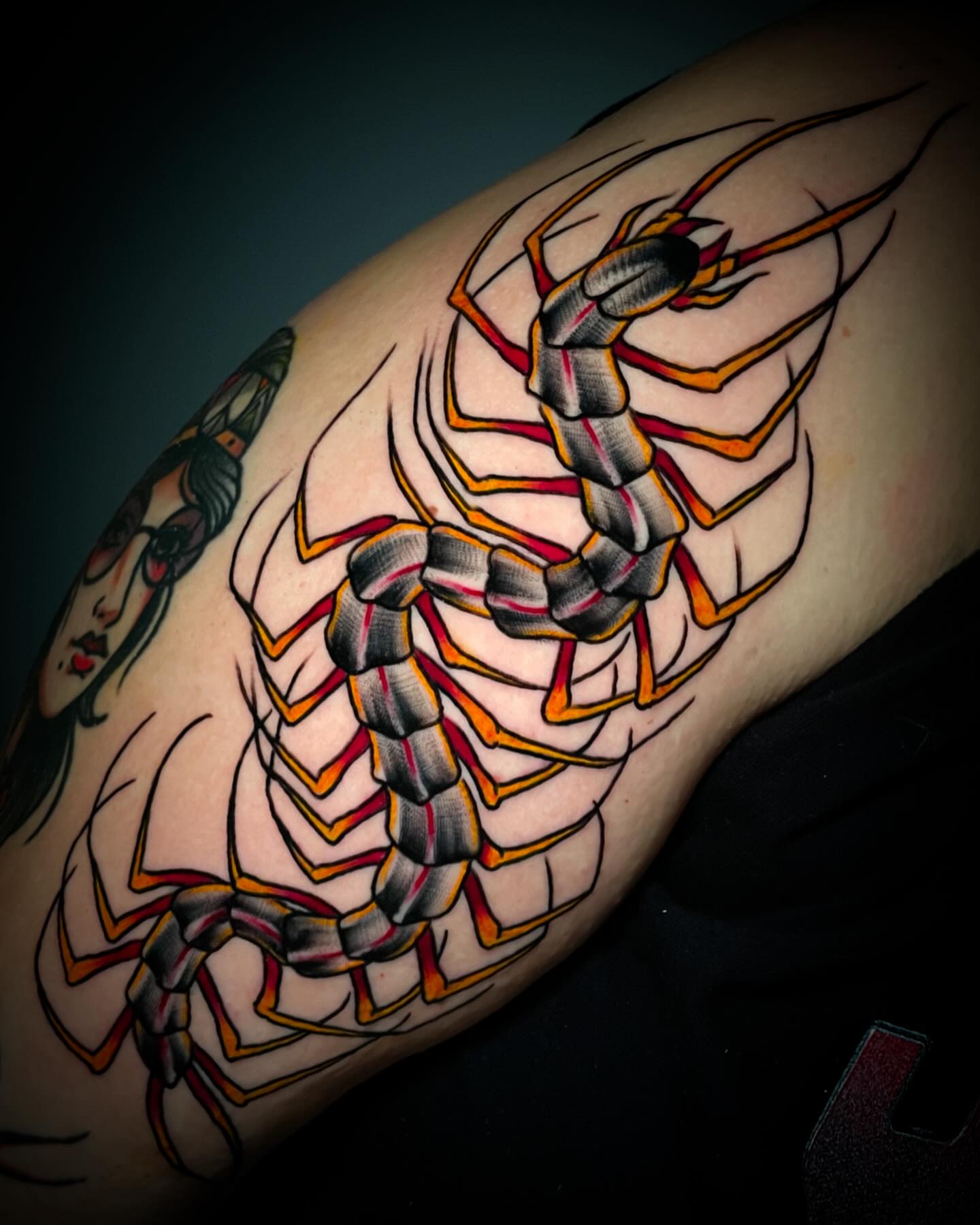 Scorpion American traditional tattoo on the upper arm by Madison ‘Maddog’ Stewart