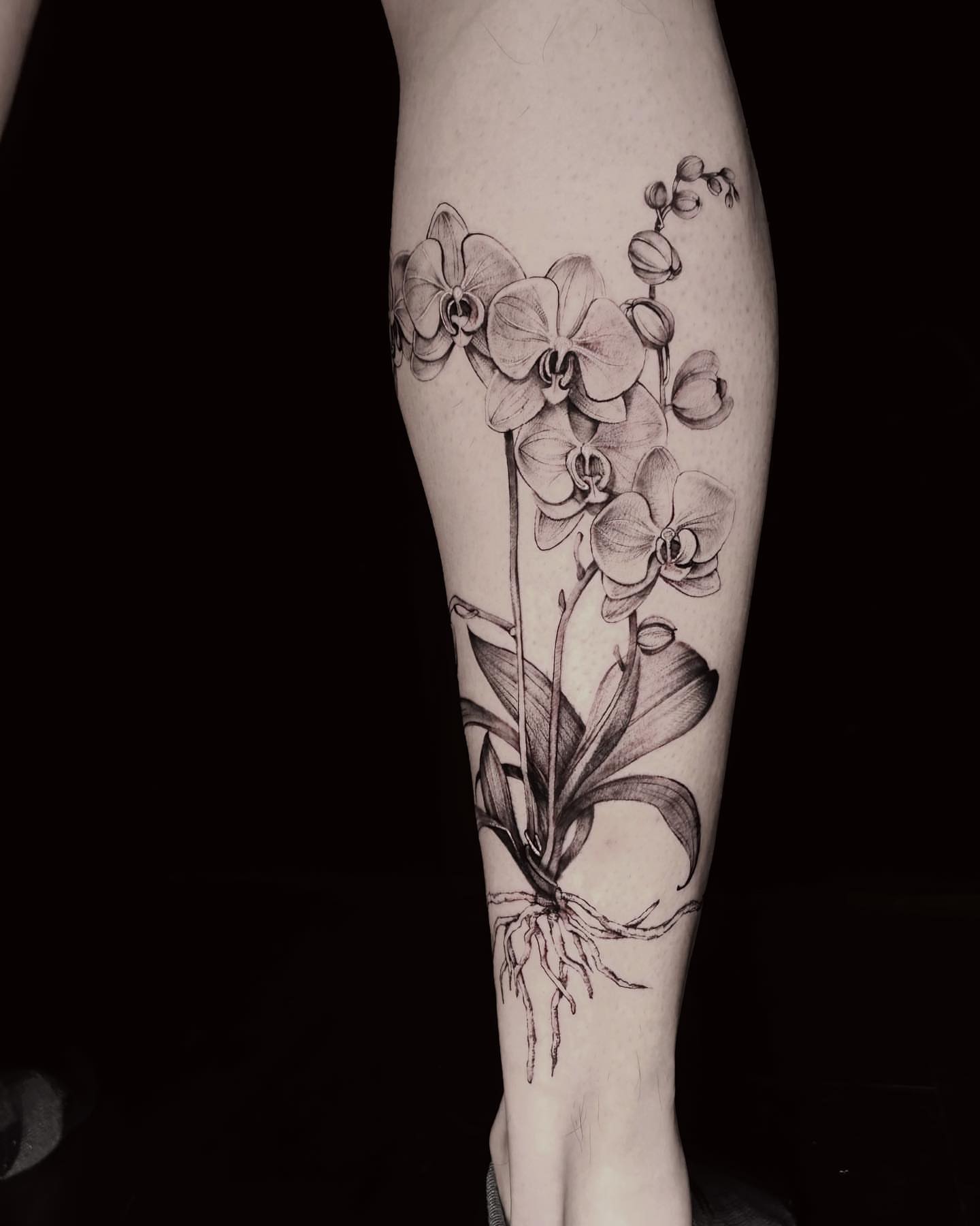 Orchid realism tattoo on the calf by Alice Li, Houston, Texas