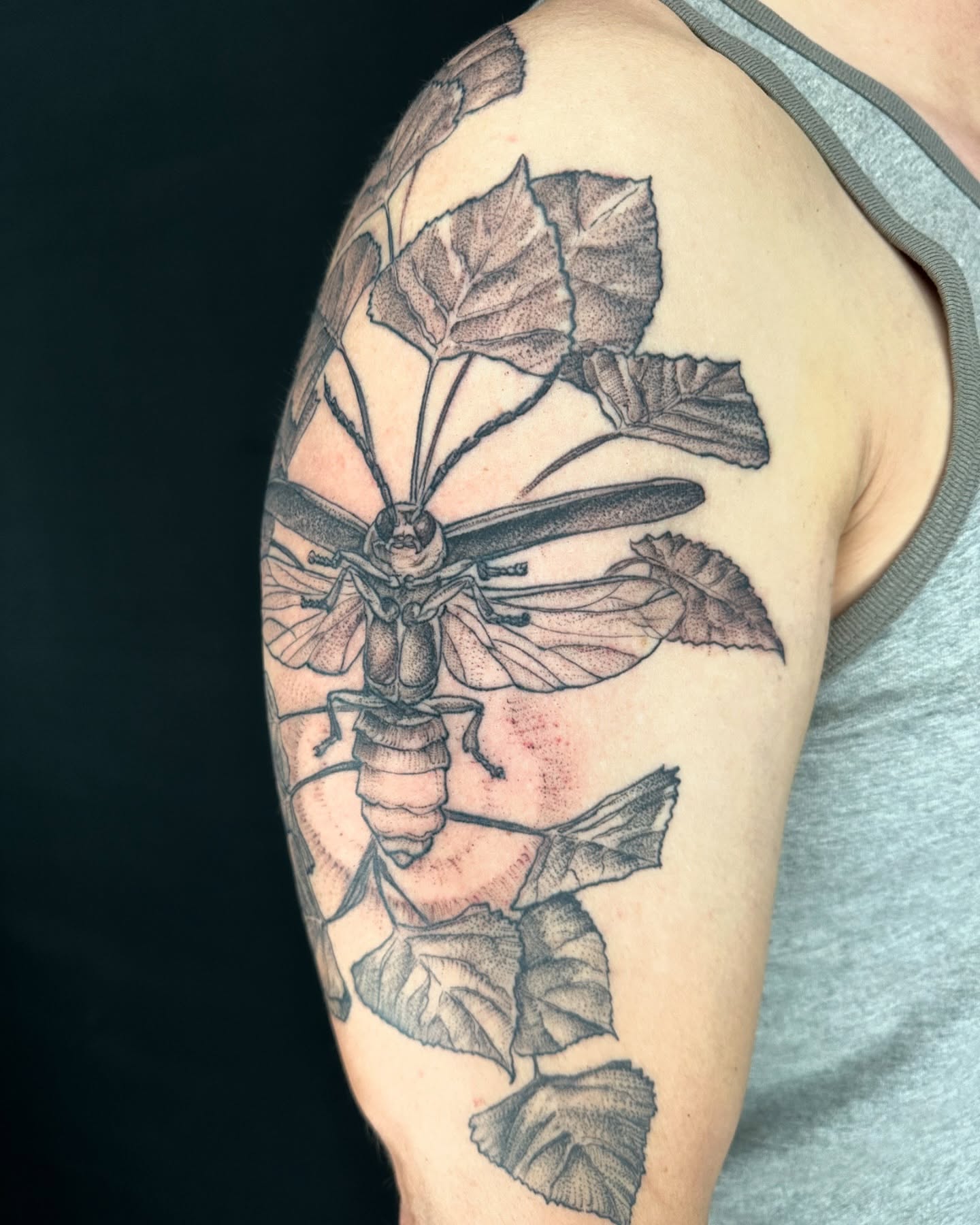 Insect black and grey tattoo on the shoulder by Benjamin Carlson