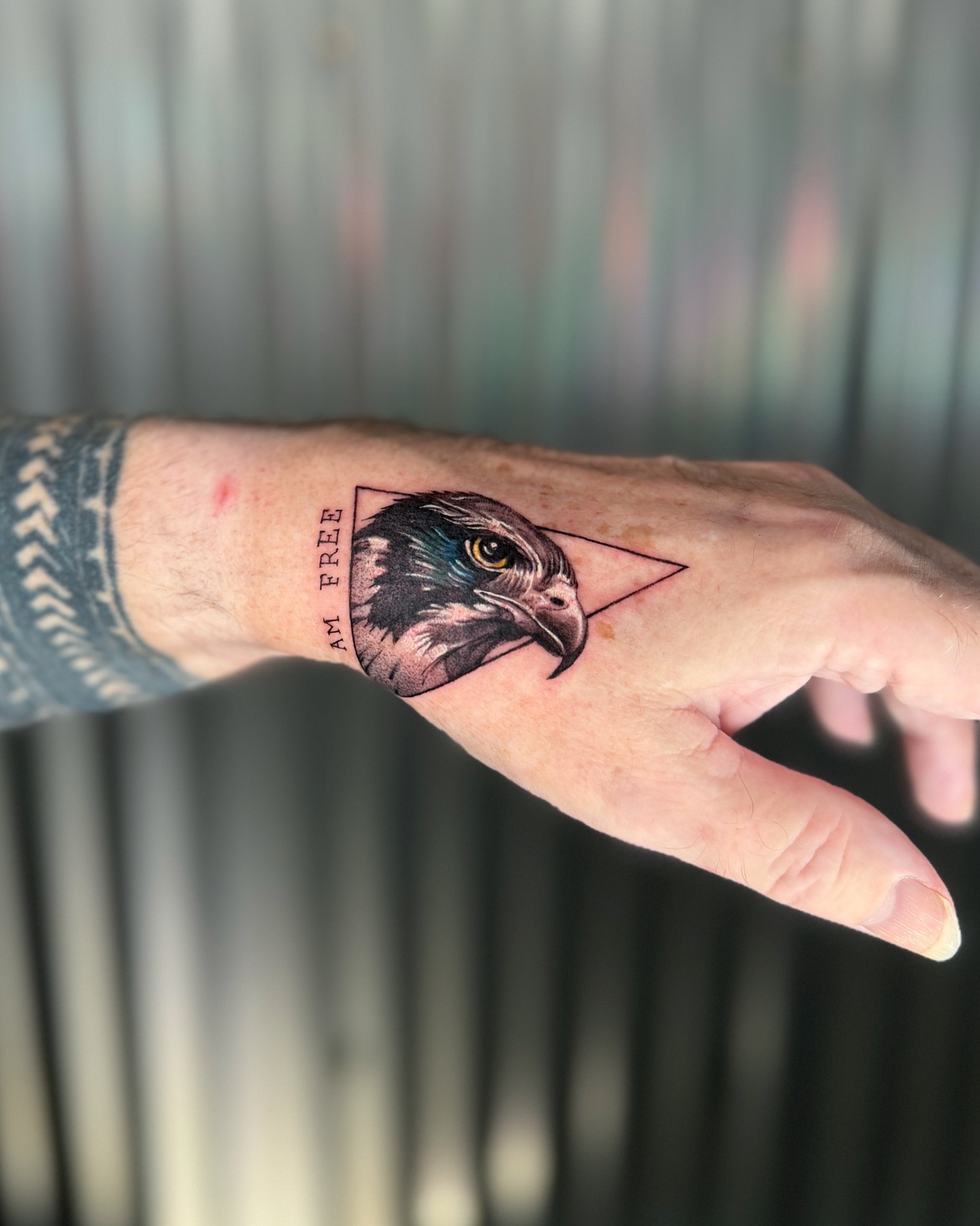 Tattoo by @zinktattoostef — realism, geometric