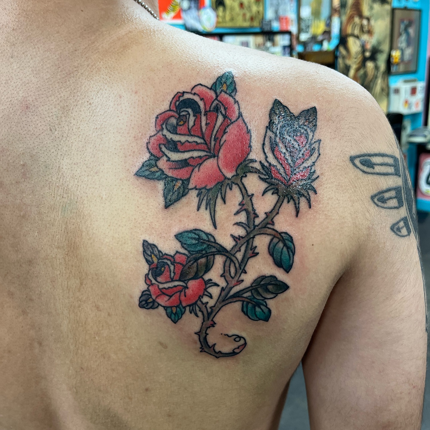 Roses American traditional tattoo on the shoulder by Ashley Camp