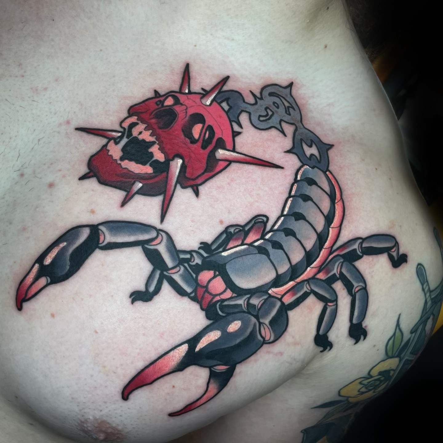 Scorpion and skull American traditional tattoo on the back by Nathan Mickle