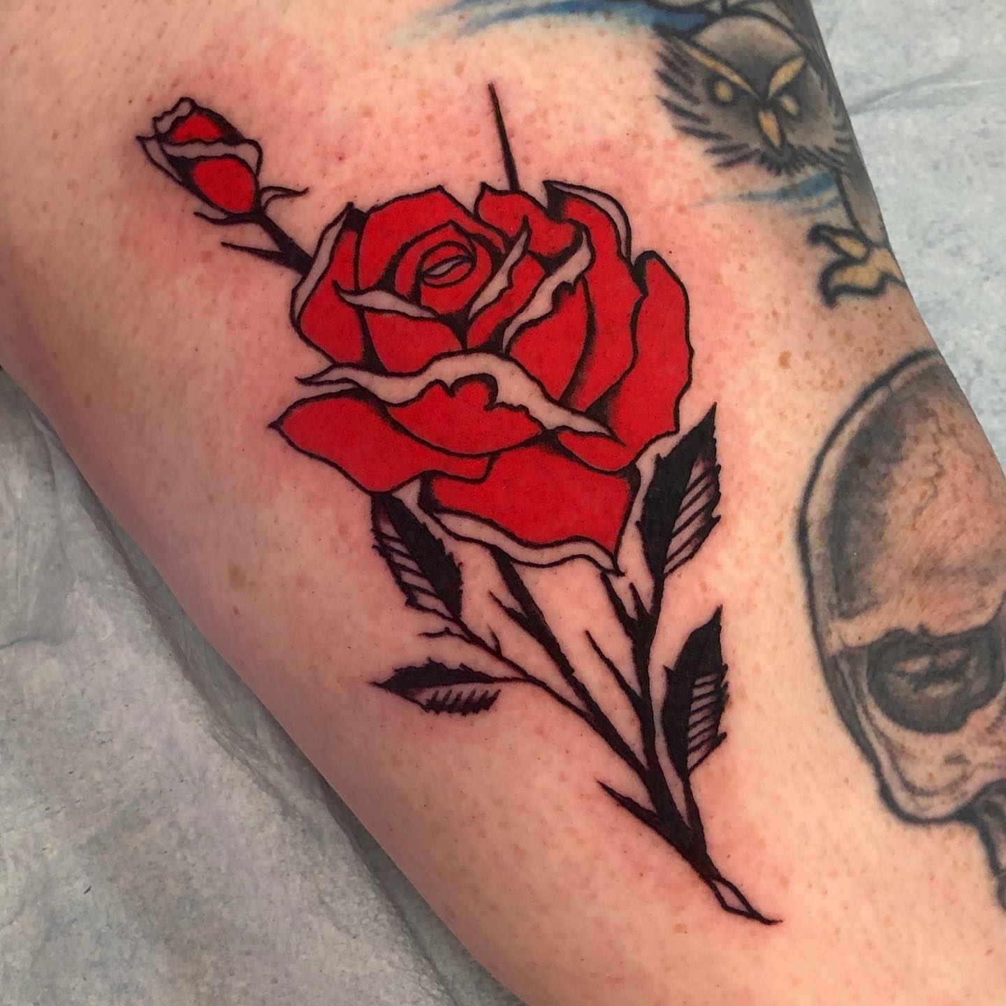 Red rose American traditional tattoo on the forearm by brenden
