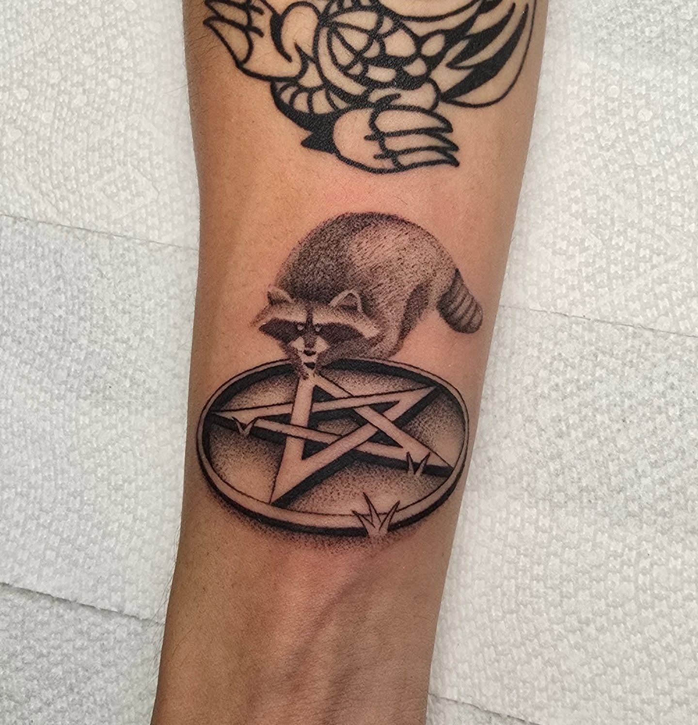 Raccoon and pentagram dotwork tattoo on the forearm by Jake Barney