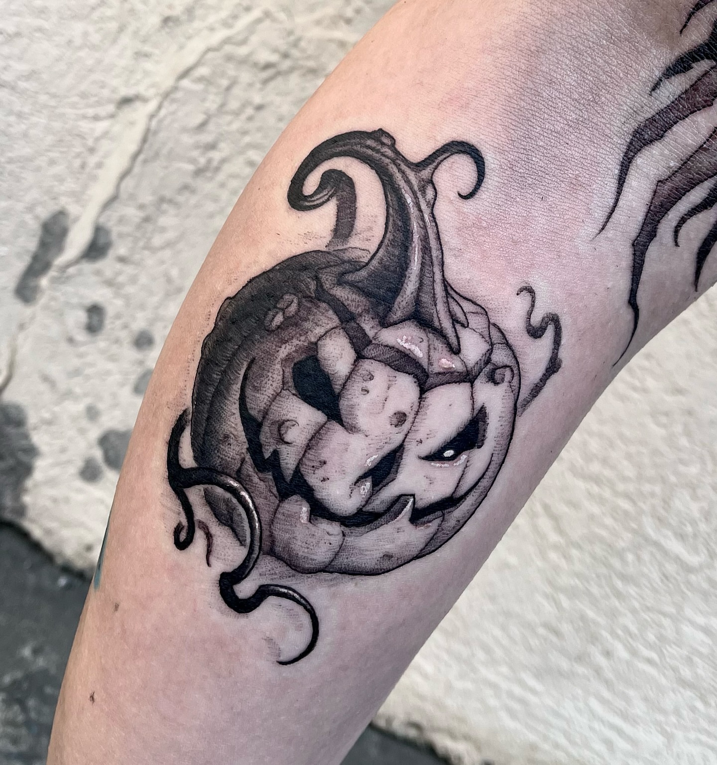 Octopus black and grey tattoo on the forearm by Jamie