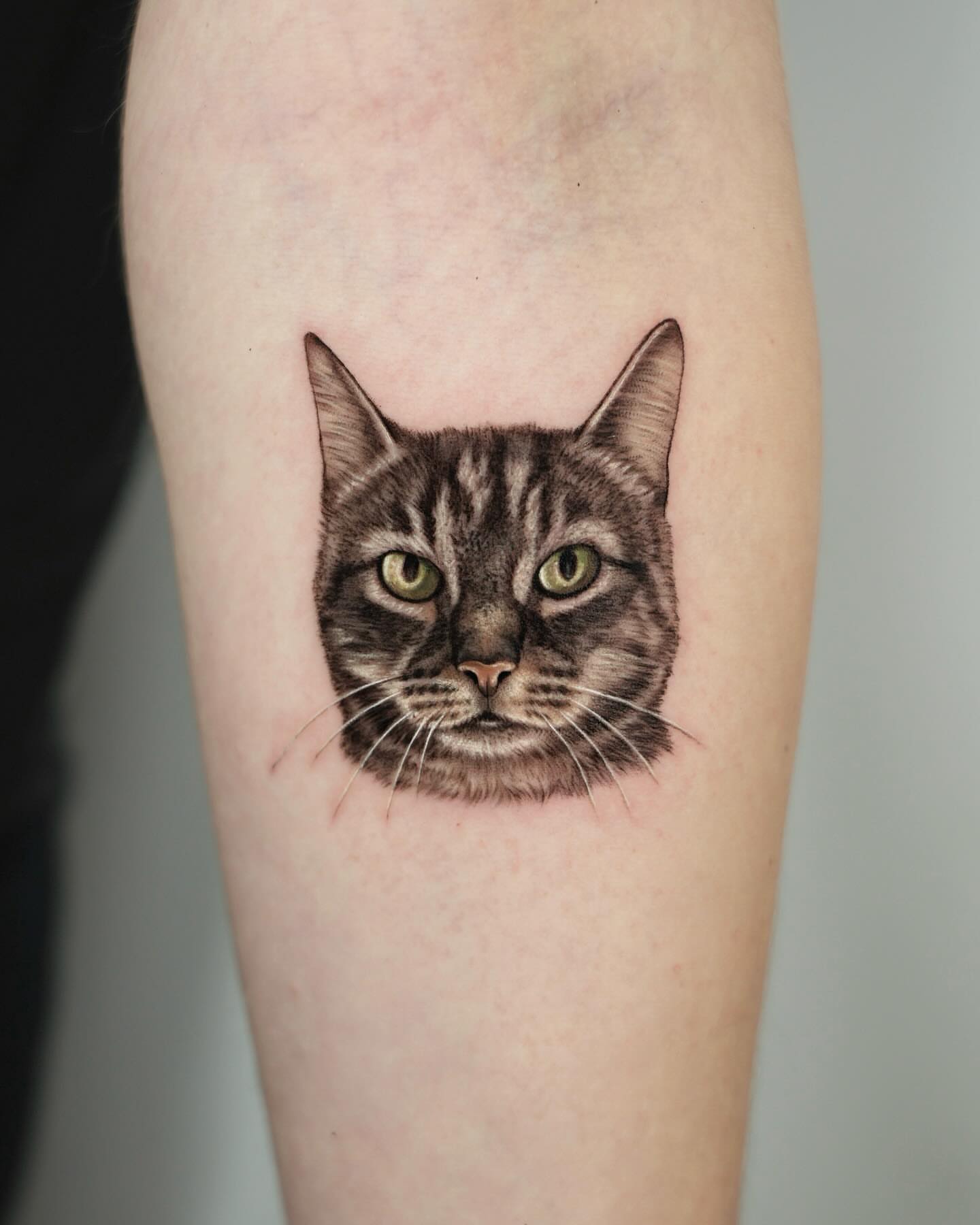 Cat realism tattoo on the forearm by Hoze