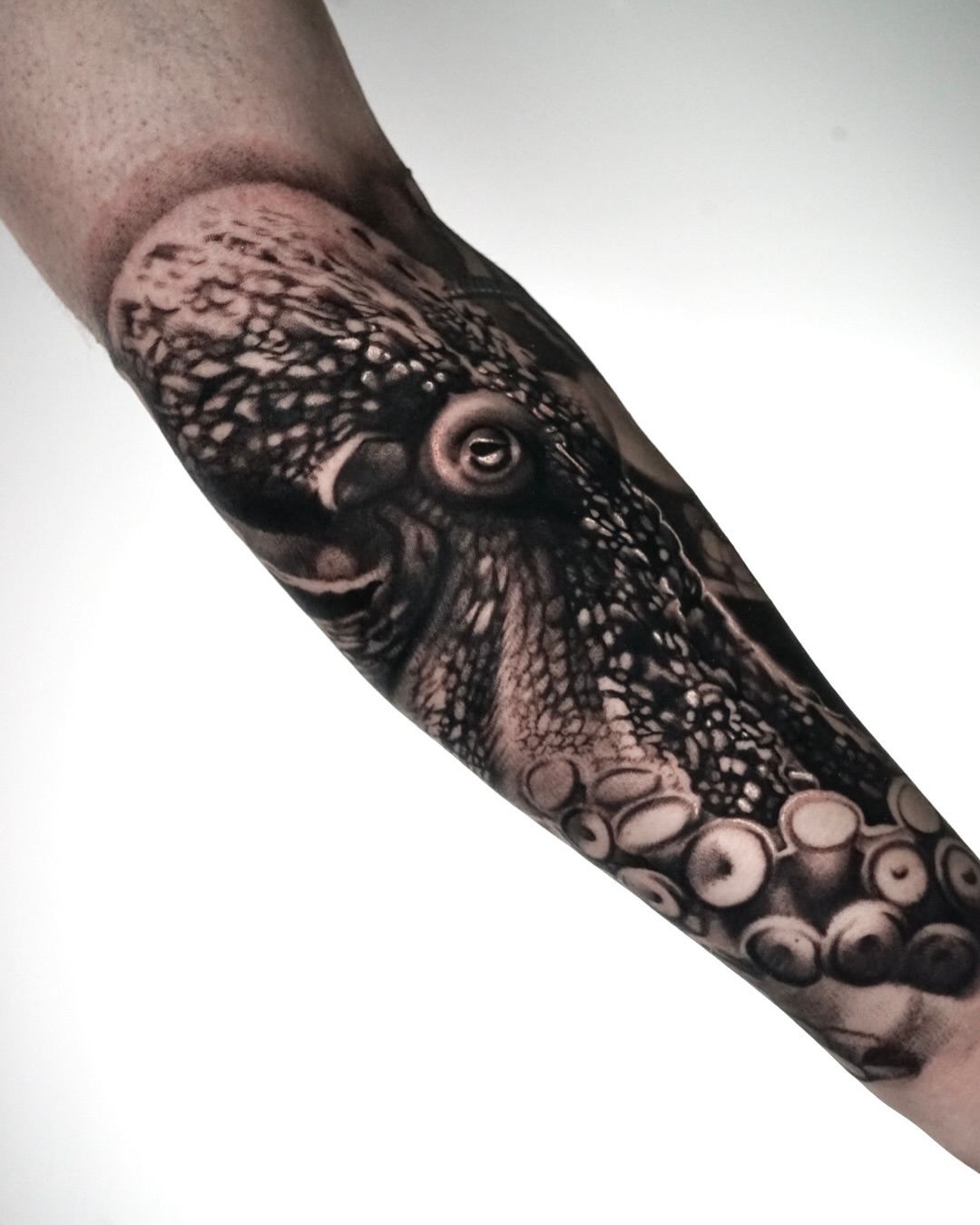 Octopus realism tattoo on the forearm by Sabrina Lakhaysy, Fort Worth, Texas