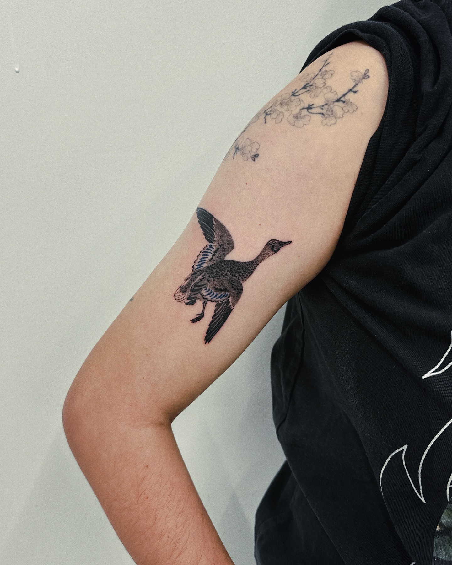 Goose black and grey tattoo on the forearm by 비단, New York, New York