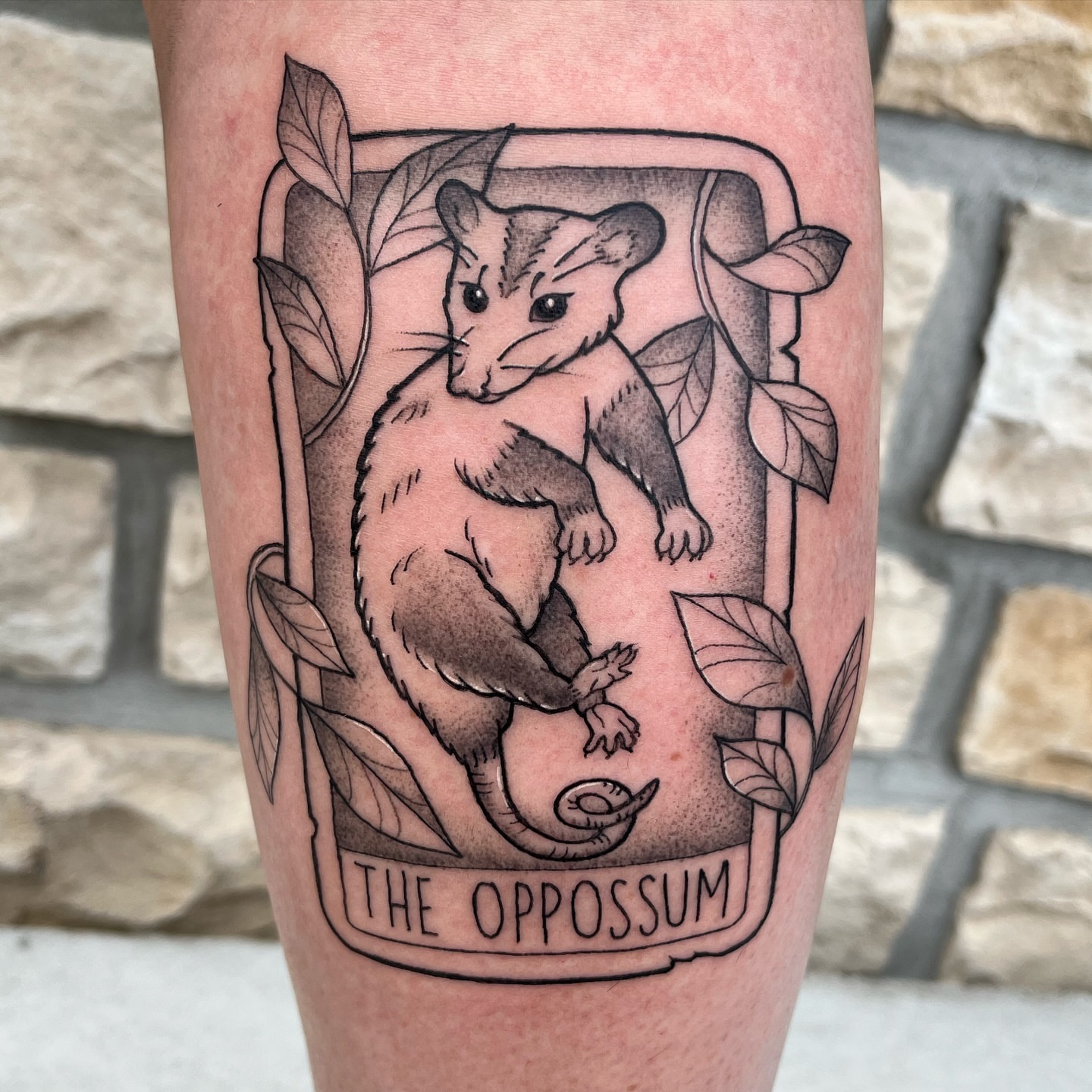 Opossum black and grey tattoo on the forearm by Tina Petrullo, West Chester Township, Butler County, Ohio