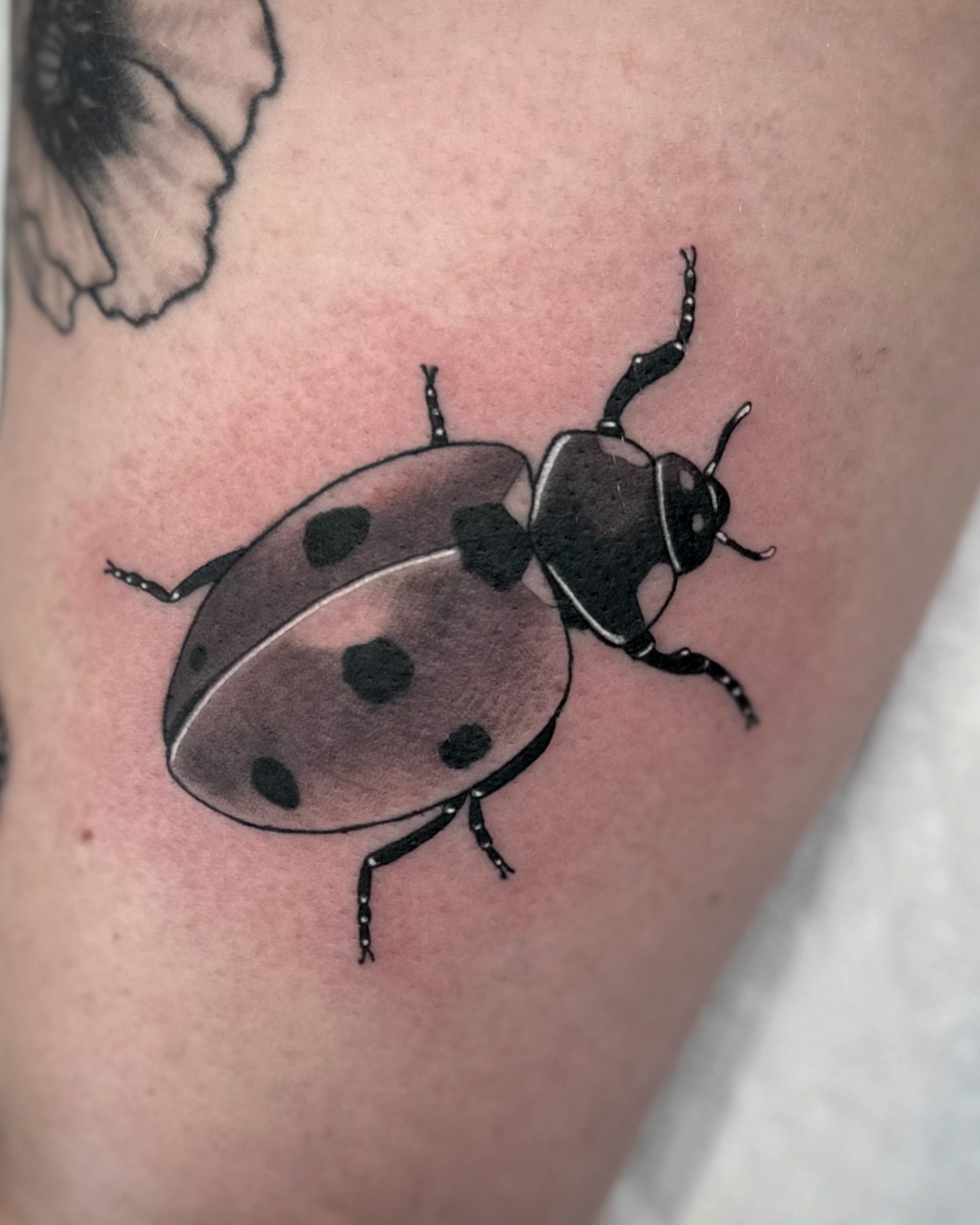 Ladybug realism tattoo on the thigh by Savannah Compton