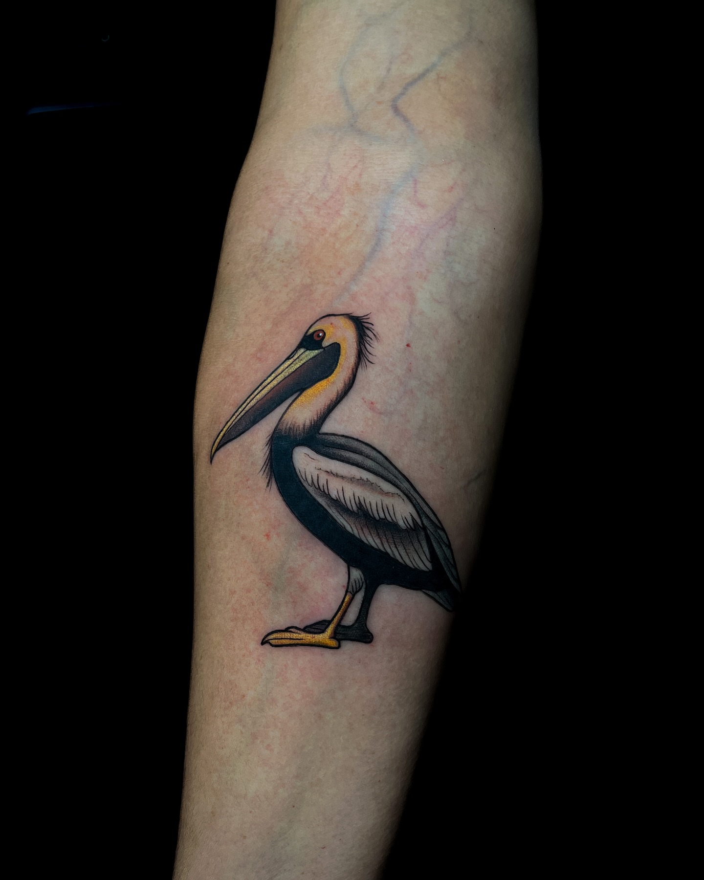Pelican realism tattoo on the forearm by Demi DiMartino