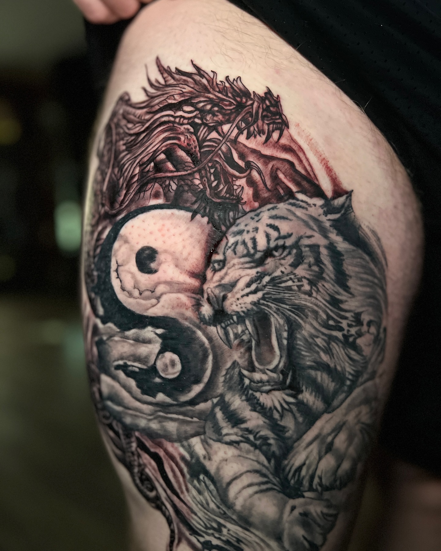 Yin yang tiger dragon realism tattoo on the thigh by Lucky Valenzuela, Lakewood, Colorado