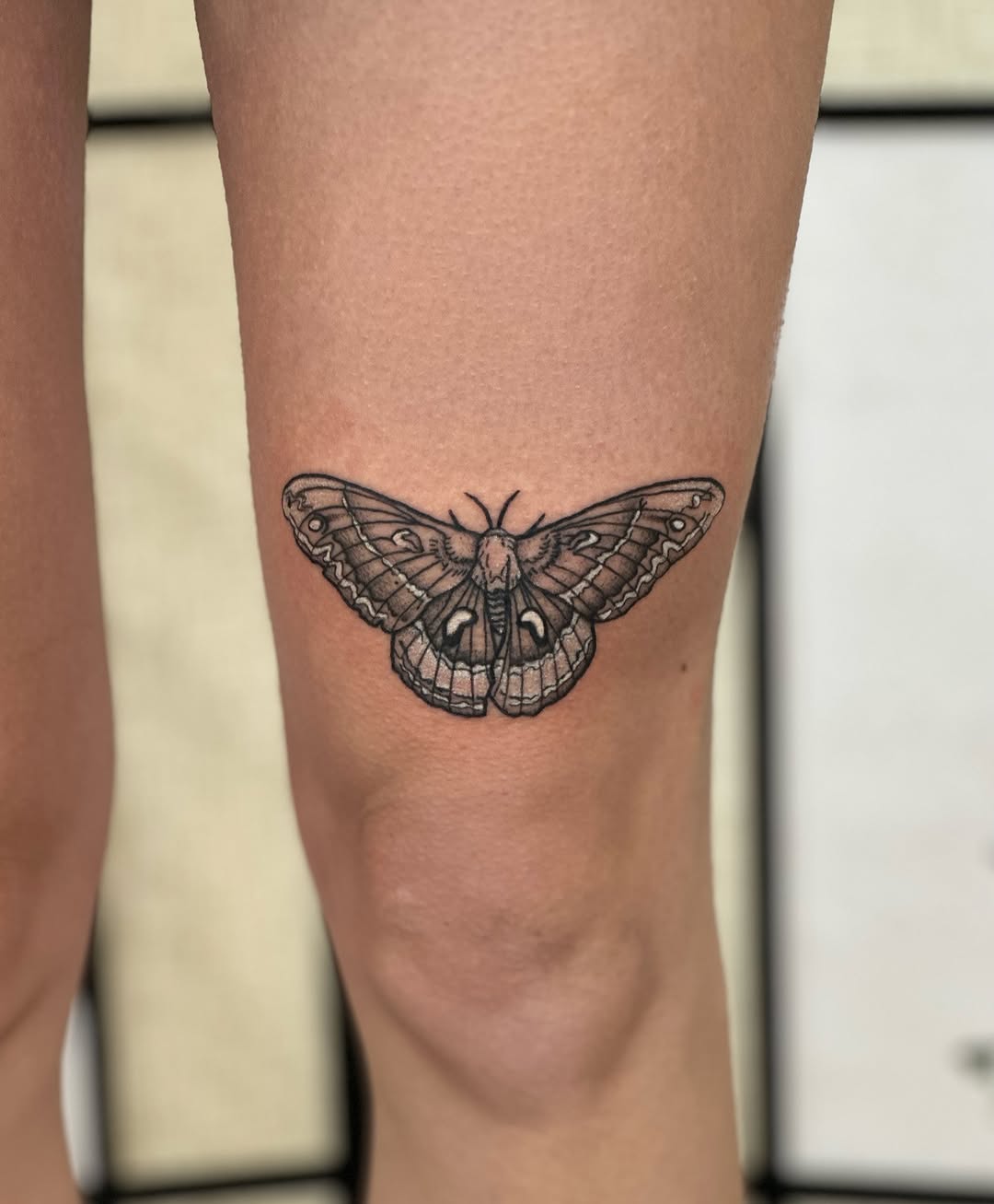 Moth fine line tattoo on the forearm by CJ