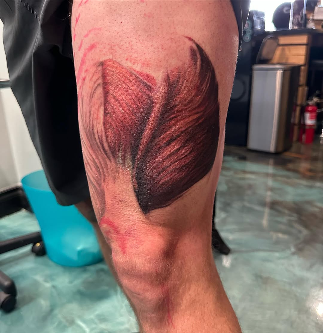 Anatomical muscle realism tattoo on the leg by Devon Beyer, Mission, Kansas