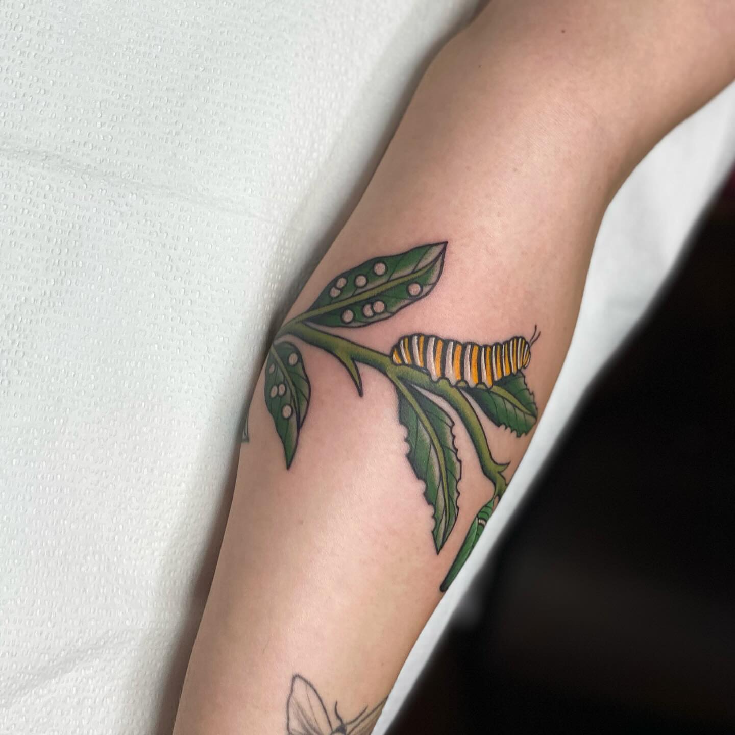 Monarch caterpillar dotwork tattoo on the forearm by Chelstine, Encinitas, California